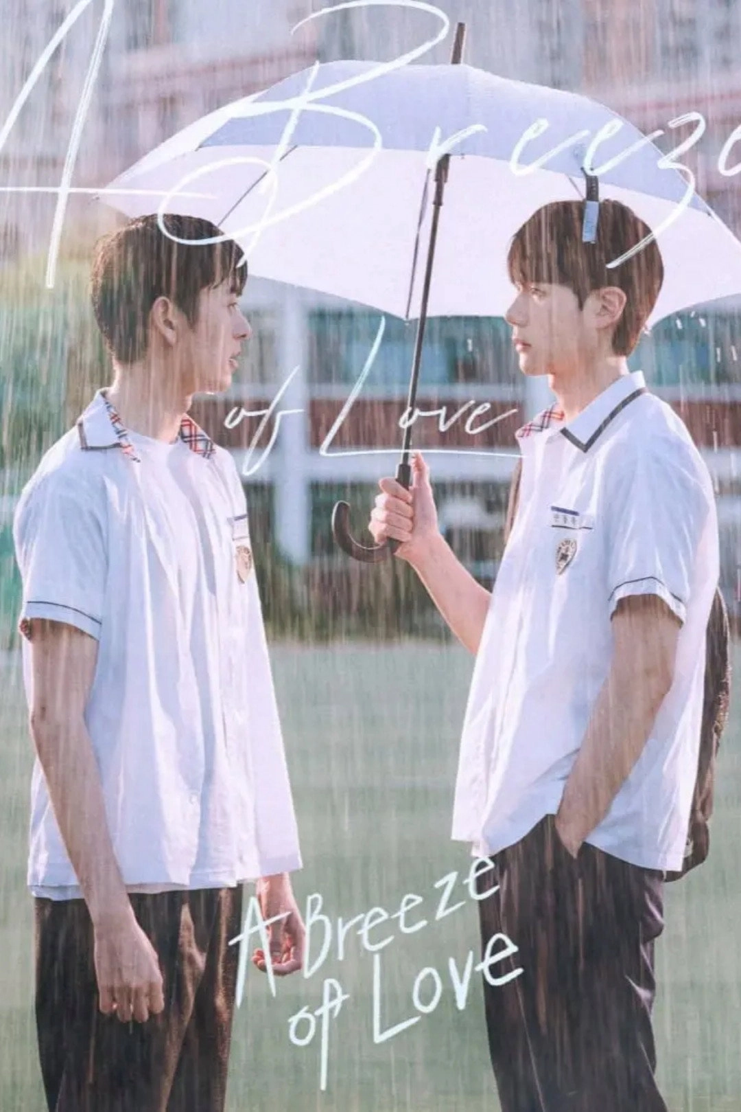 A Breeze of Love