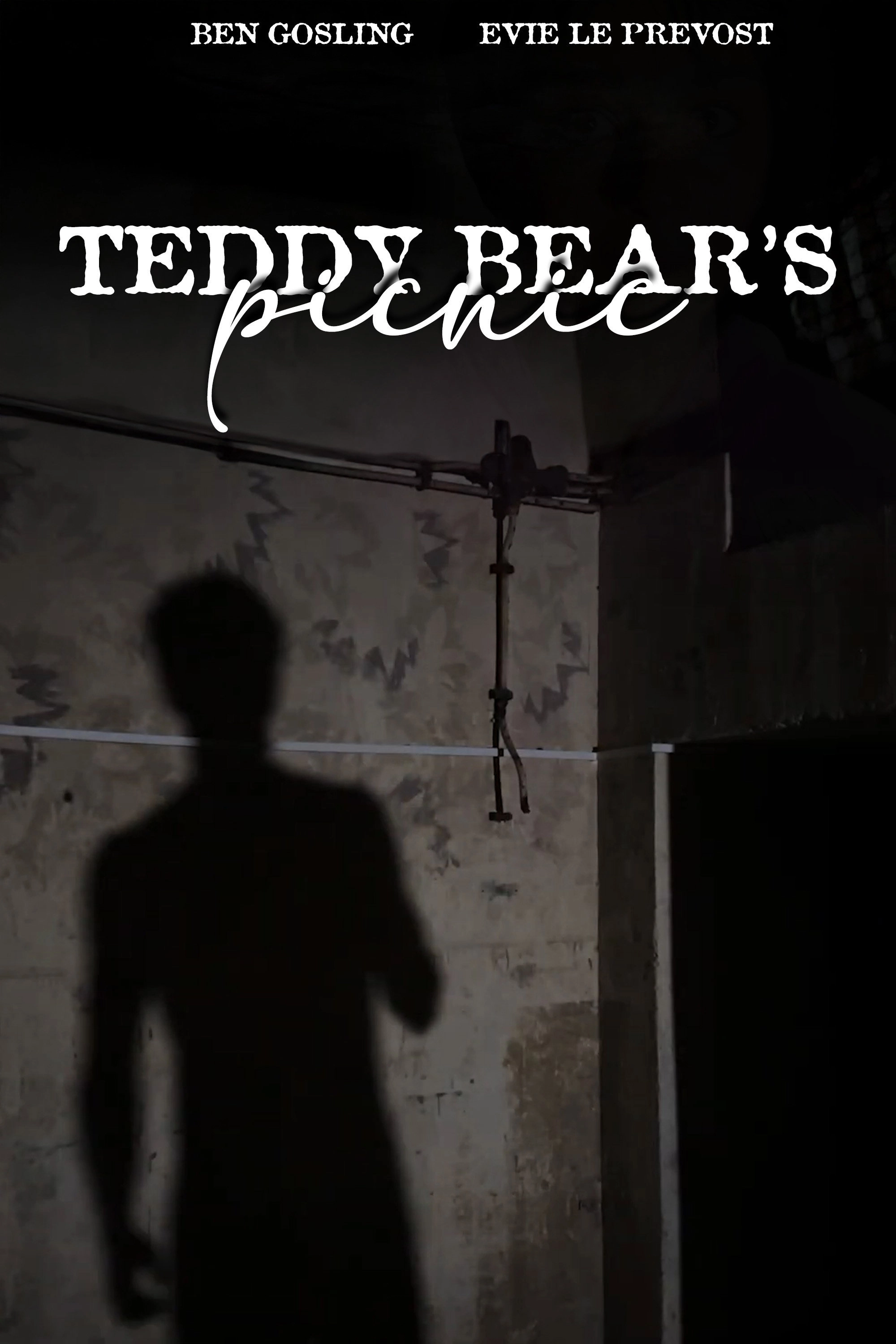 Teddy Bear's Picnic