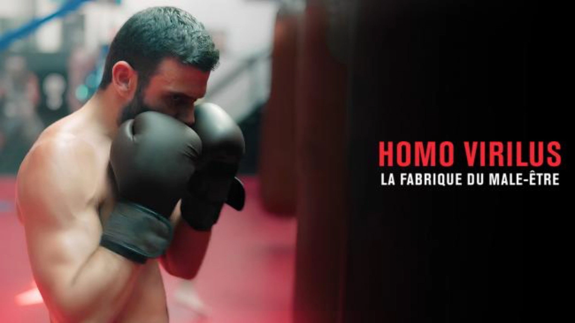 Homo virilus : la fabrique du mâle-être