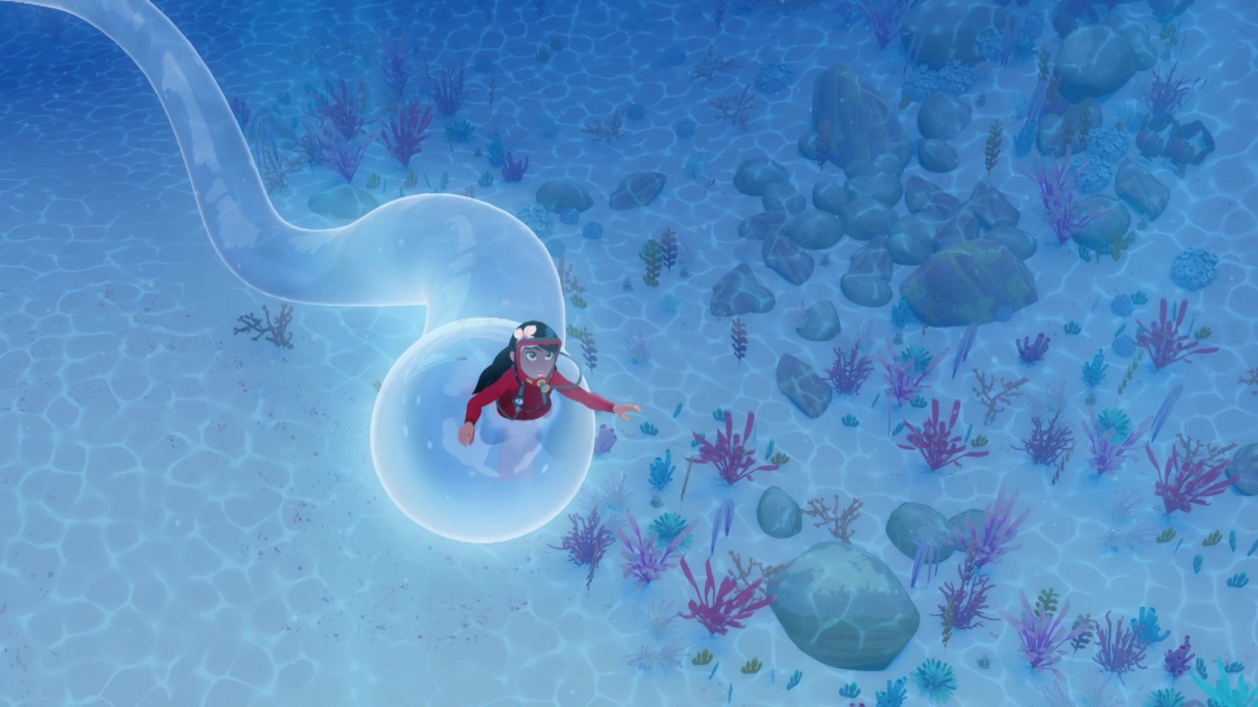 Zoom the White Dolphin