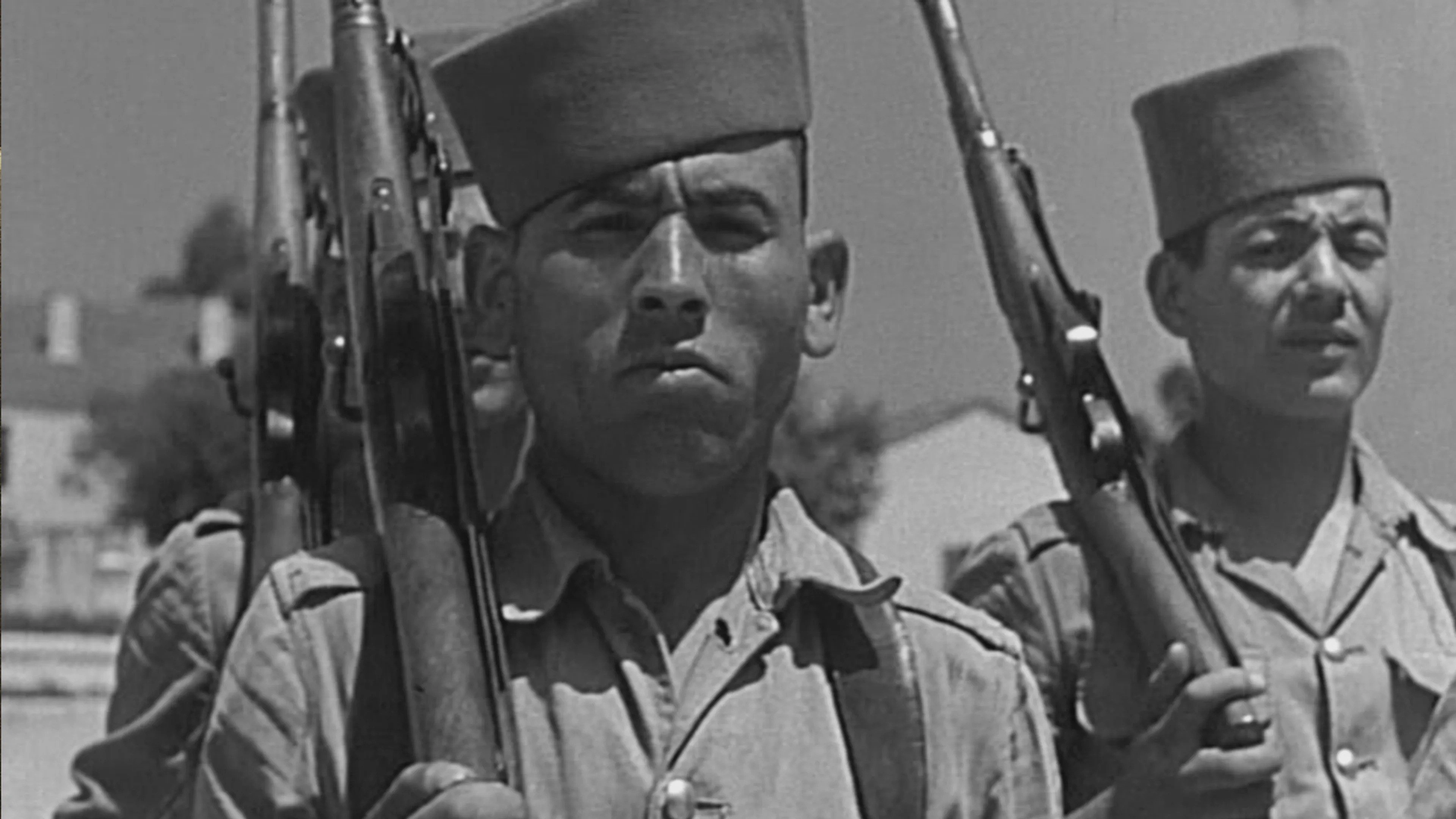 At War for Algeria