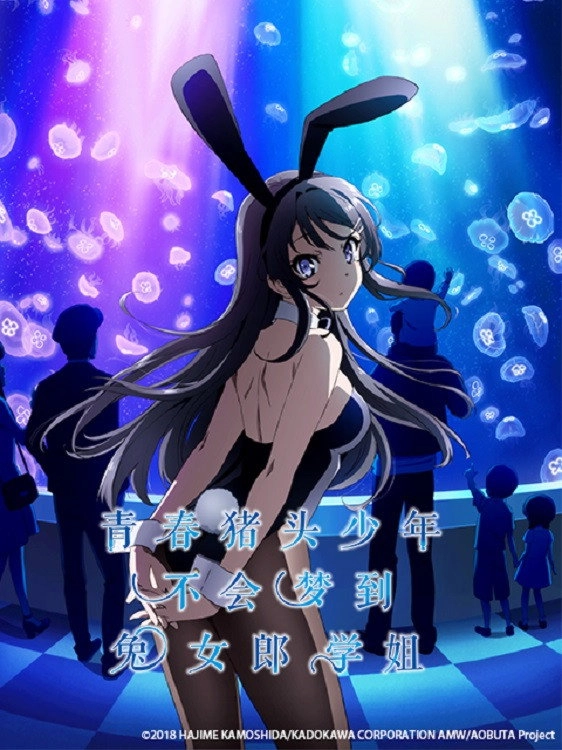 Rascal Does Not Dream of Bunny Girl Senpai