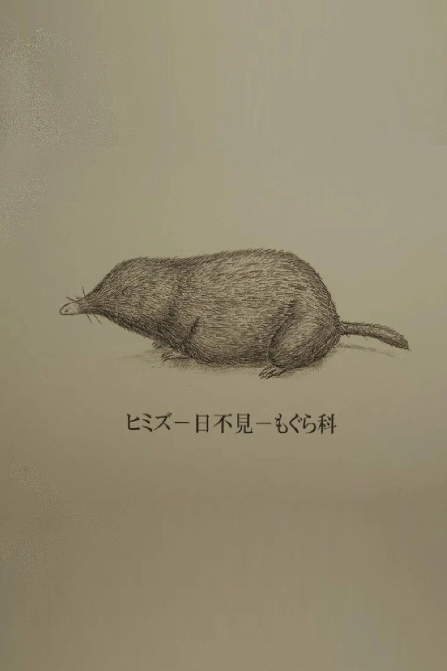 Himizu