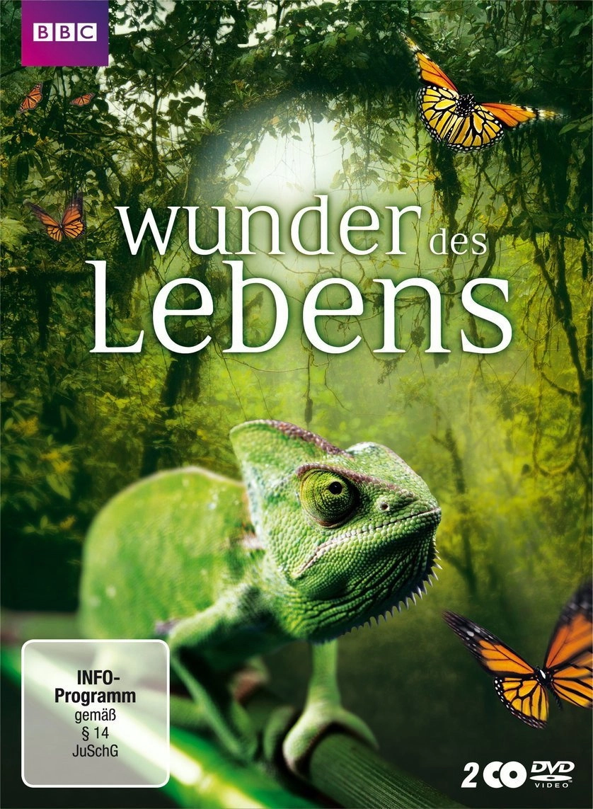 Wonders of Life