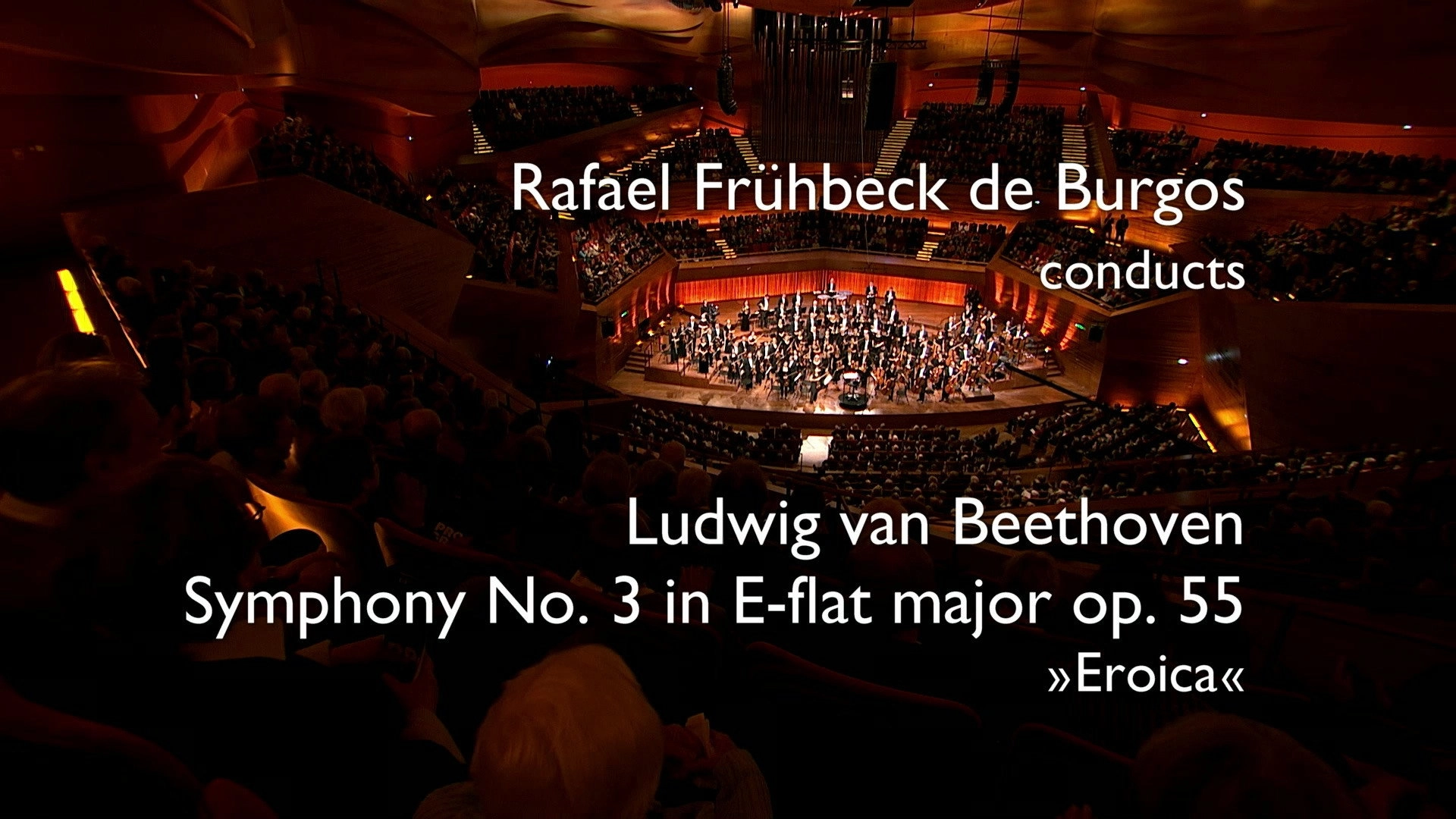 Beethoven: The Symphonies (Rafael Frühbeck de Burgos Conducts the Danish National Symphony Orchestra)