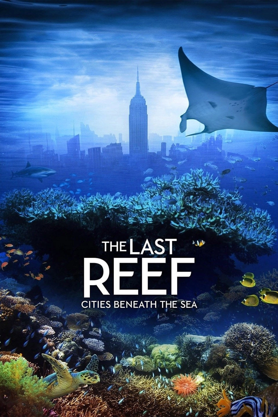 The Last Reef: Cities Beneath the Sea