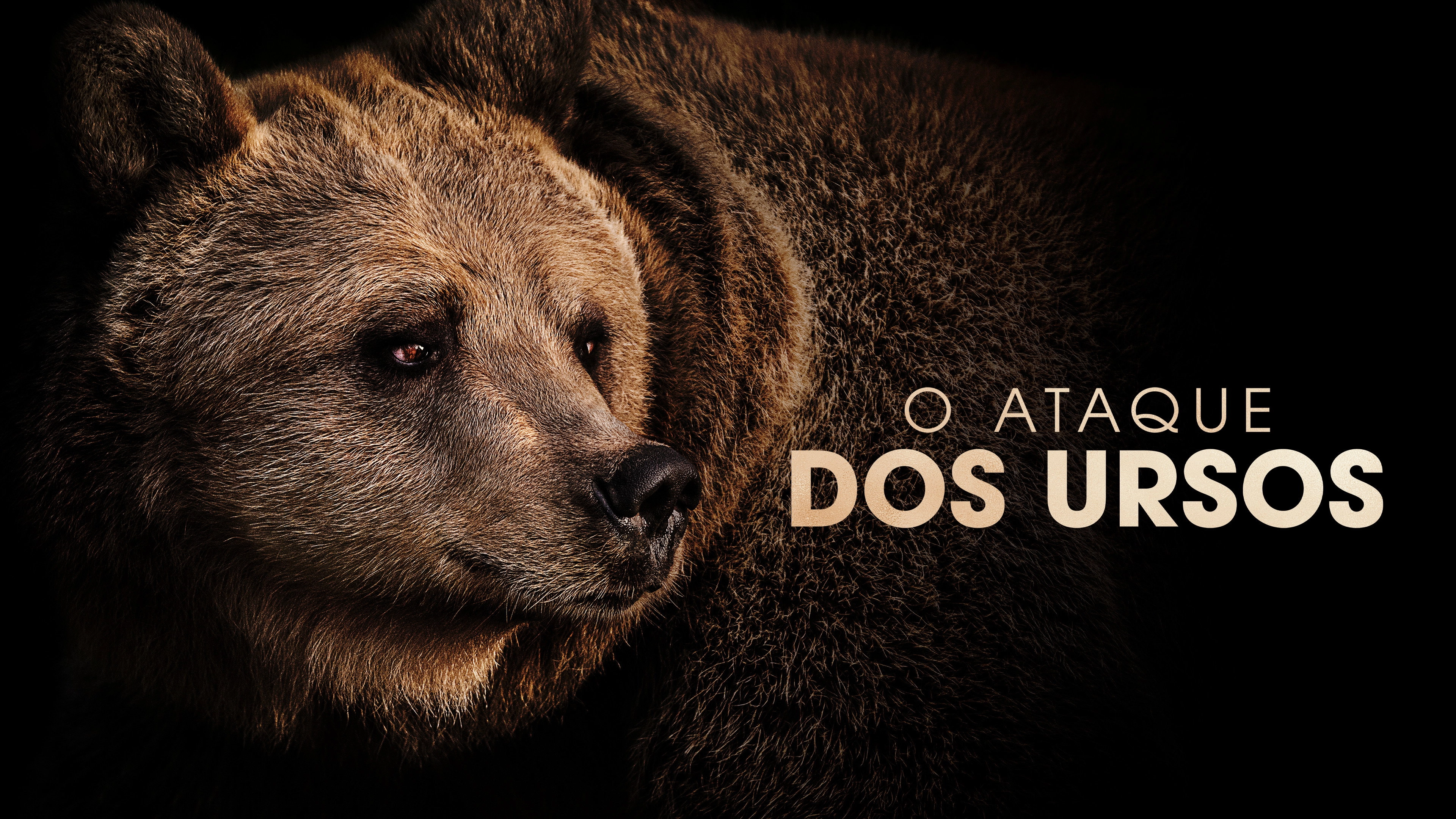 Grizzly Uprising