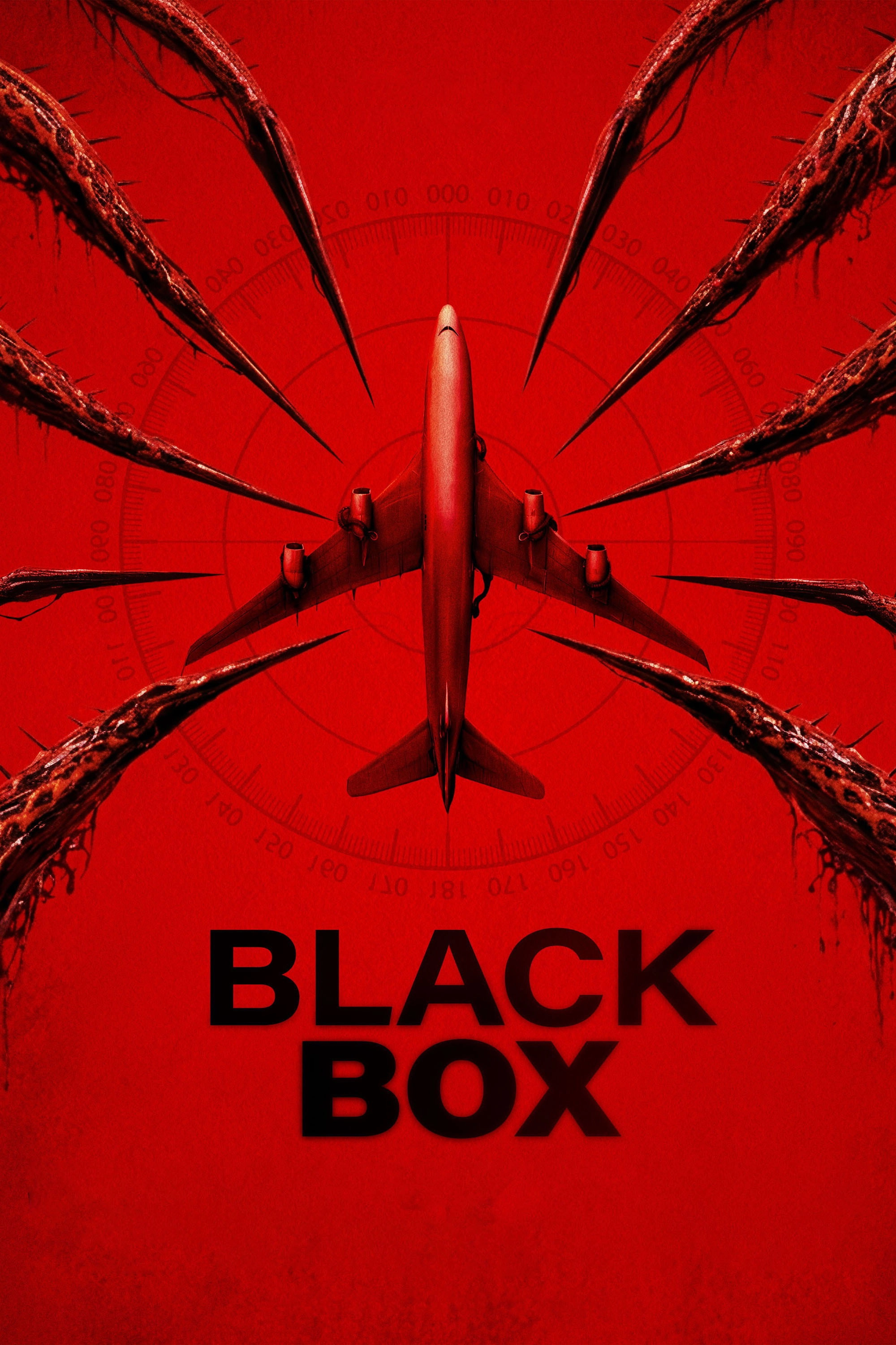 Black Box (Flight 298)