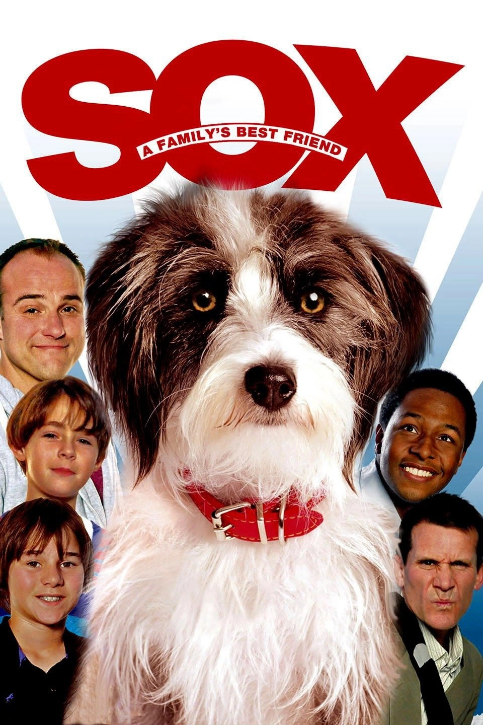 Sox: A Family's Best Friend