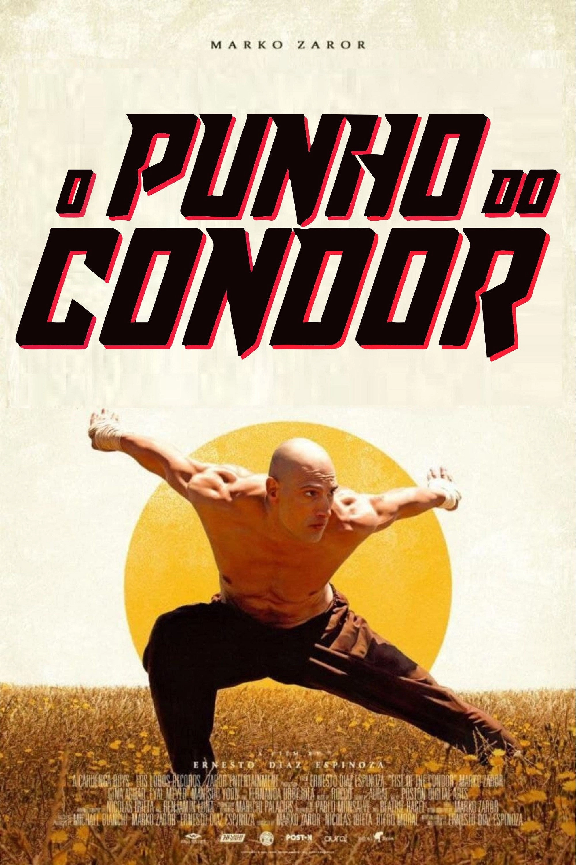 Fist of the Condor
