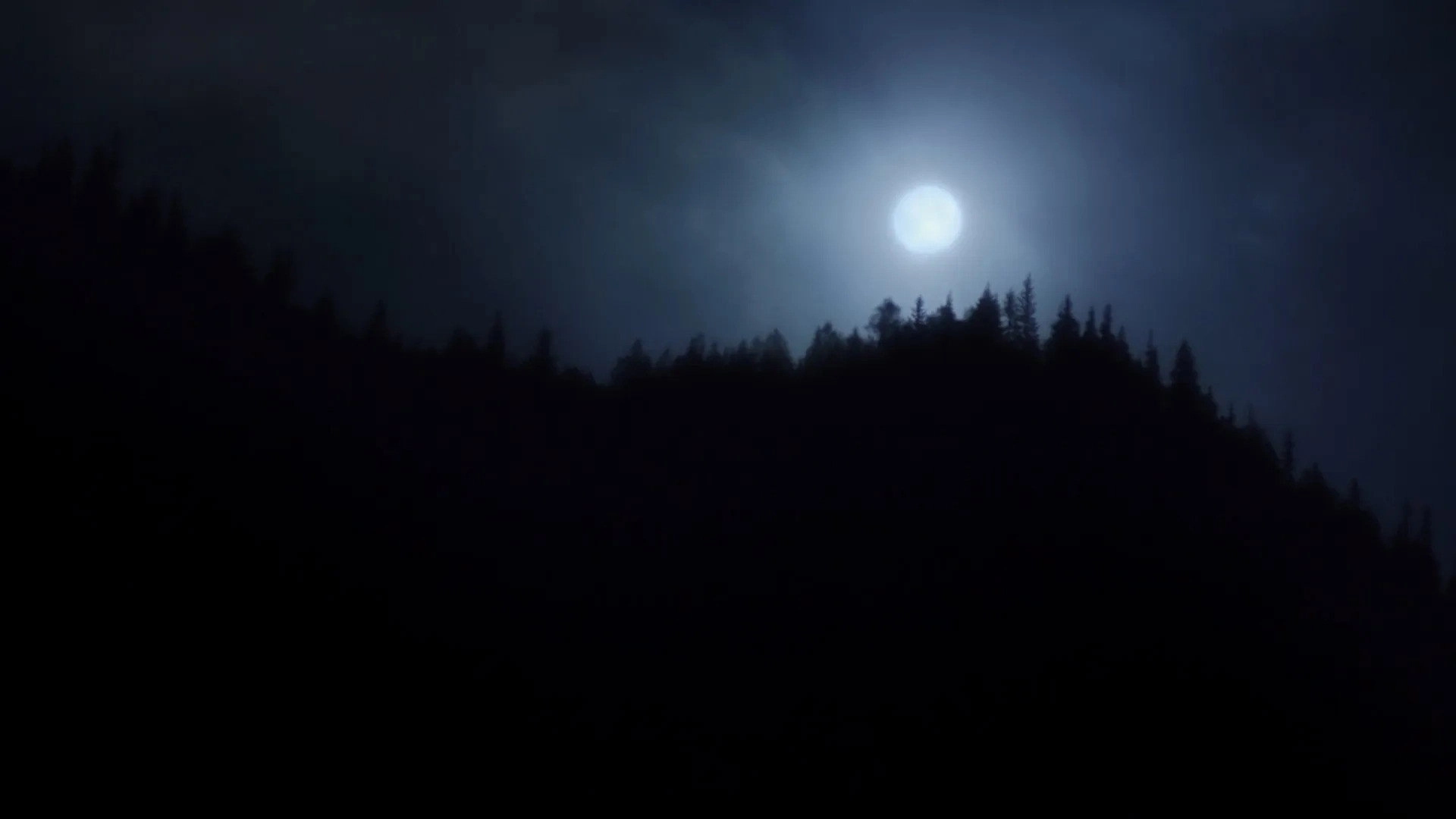 Lady Belladonna's Night Shades