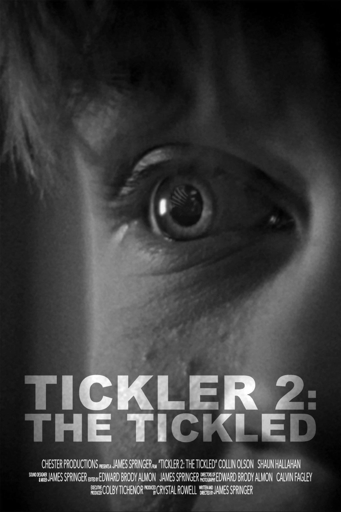 Tickler 2: The Tickled