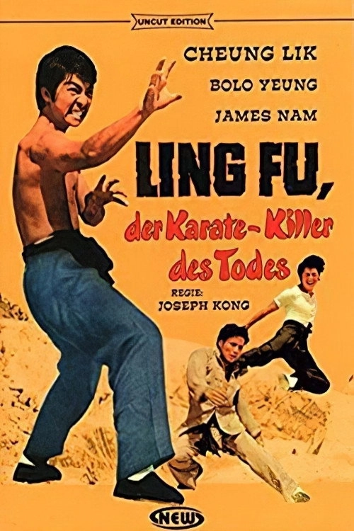 Super Kung Fu Kid