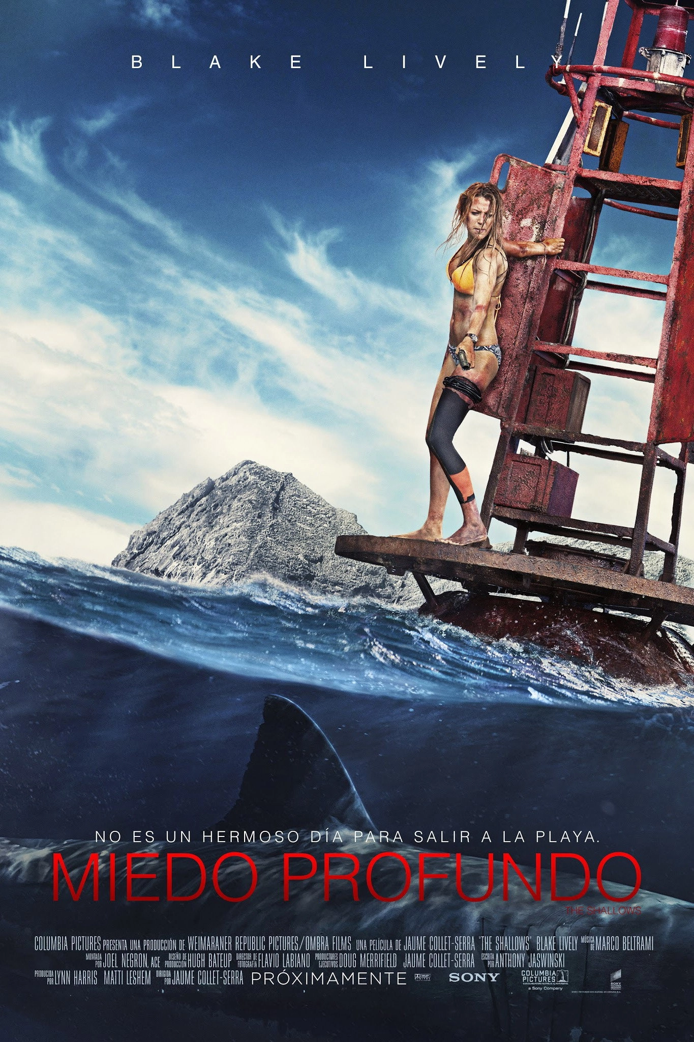 The Shallows