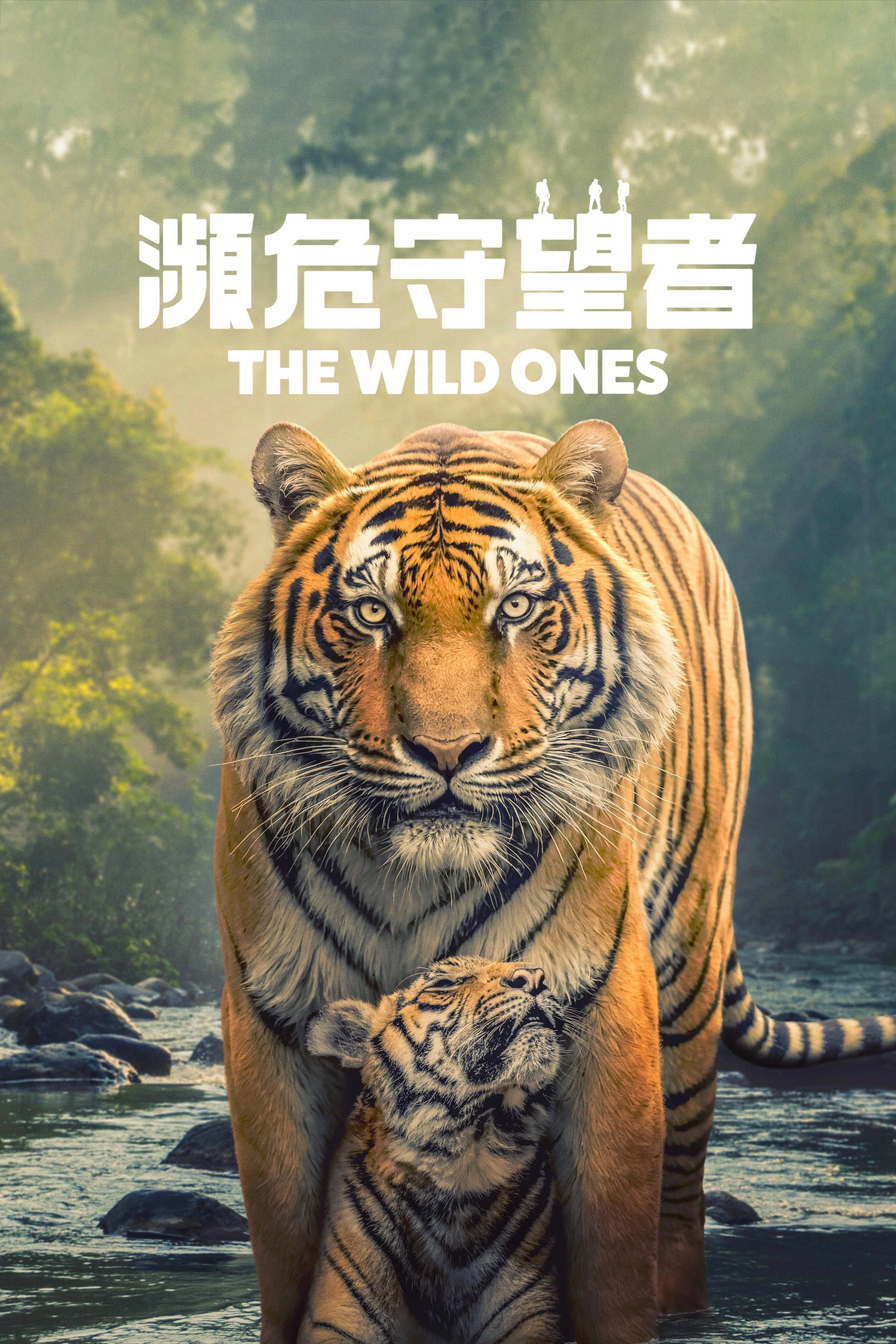 The Wild Ones