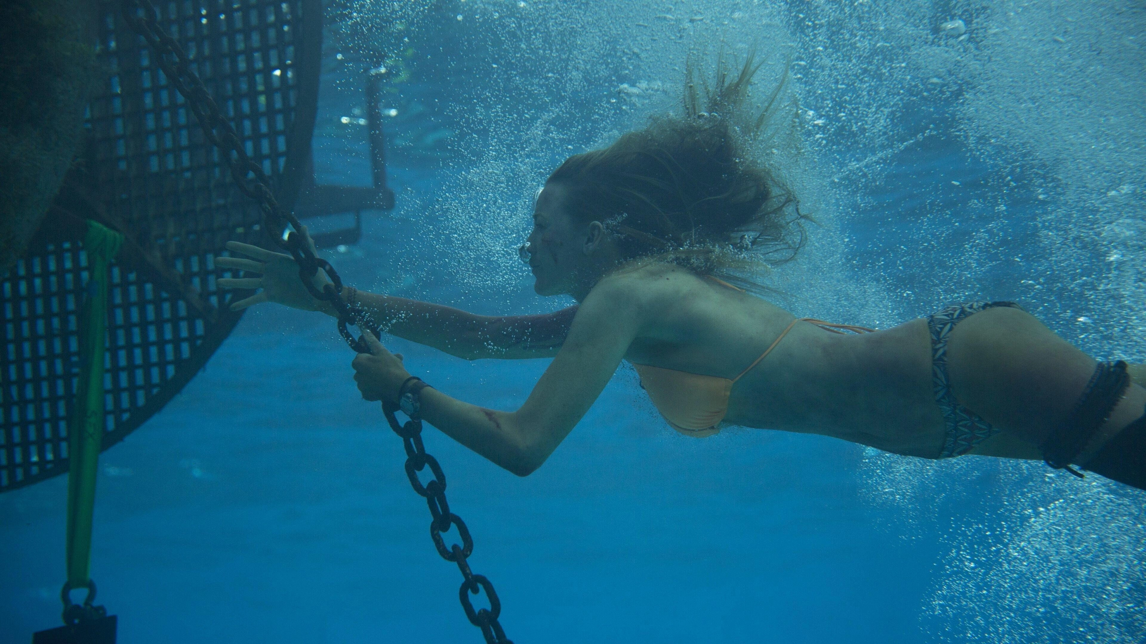The Shallows