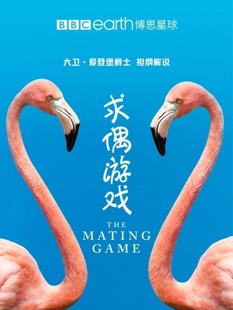 The Mating Game