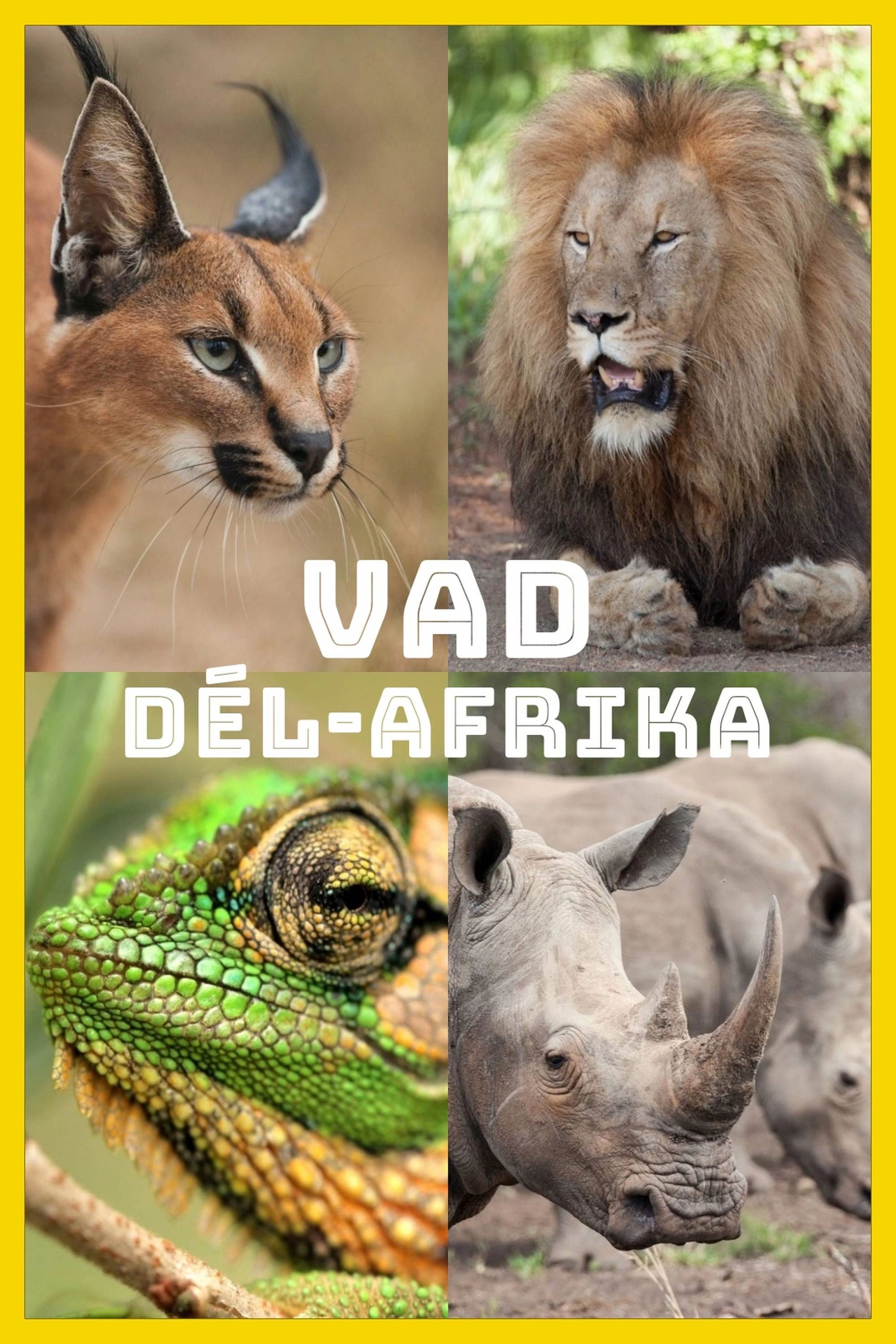 Wild South Africa