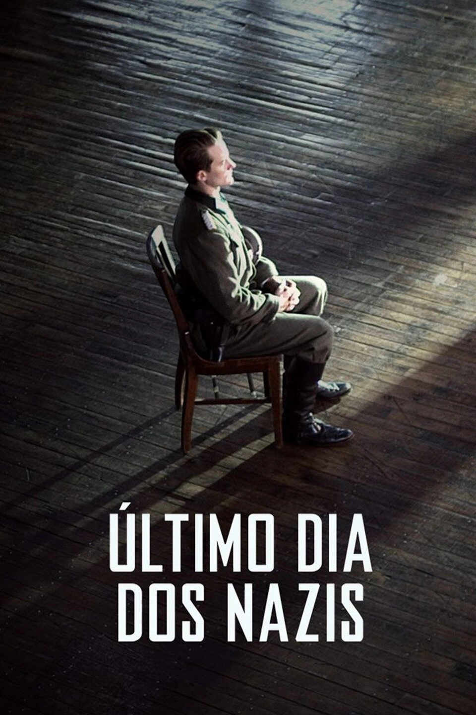 Last Days of the Nazis