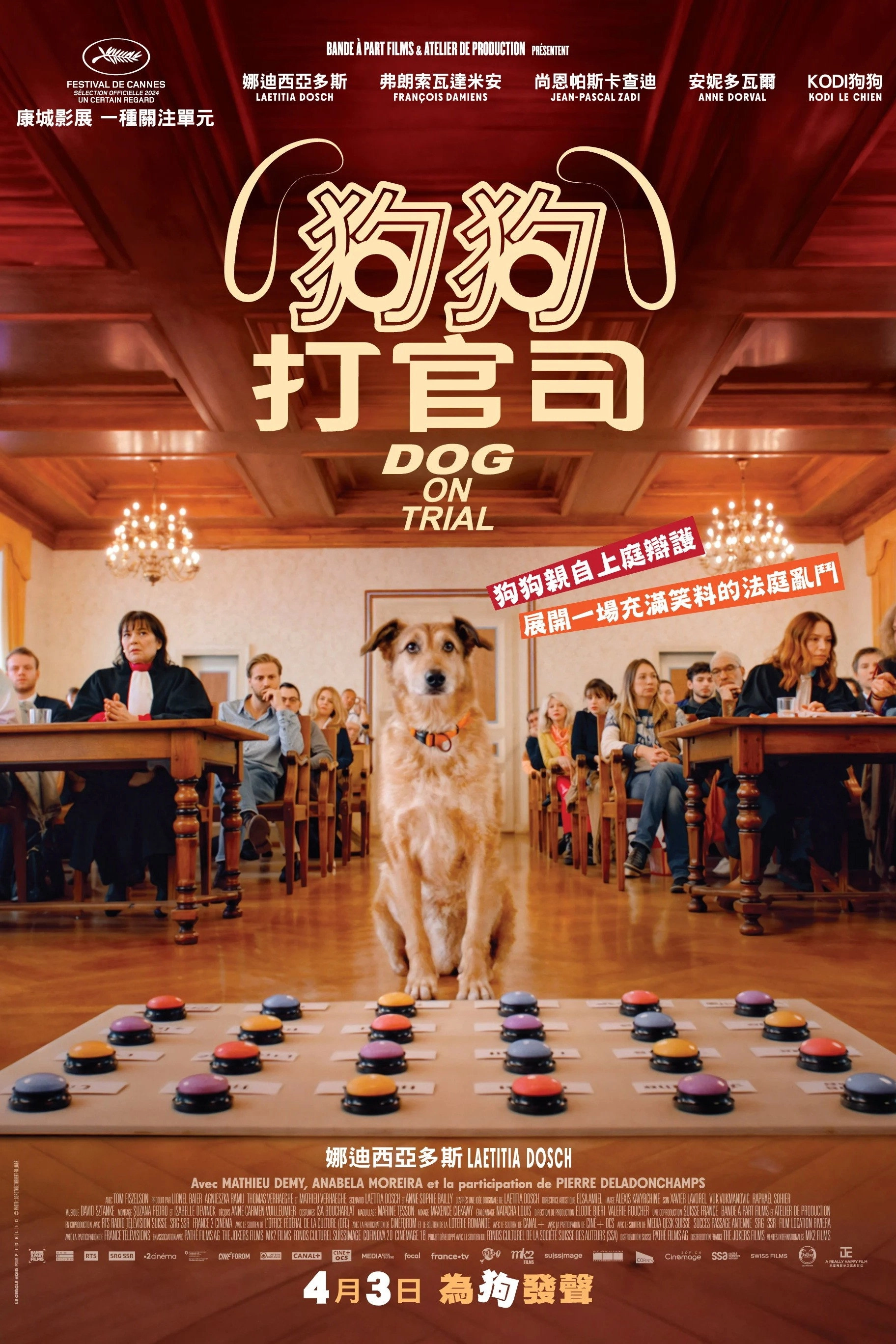 Dog on Trial