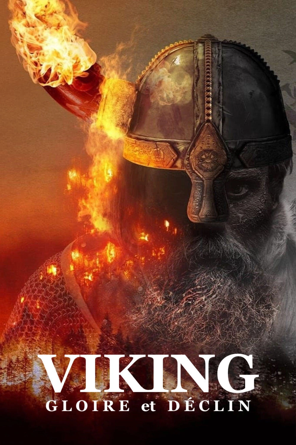 Vikings: The Rise & Fall