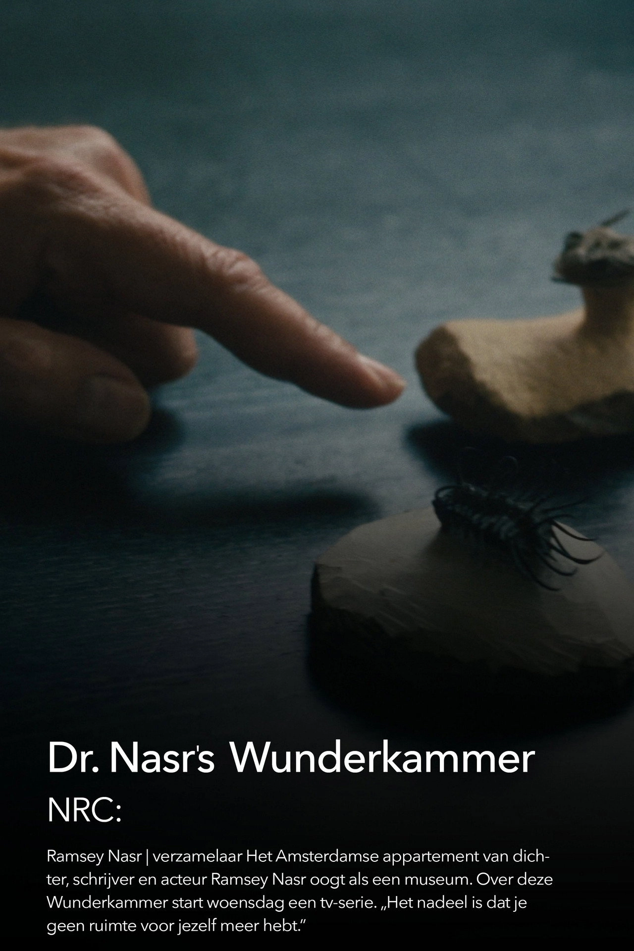 Dr. Nasr's Wunderkammer