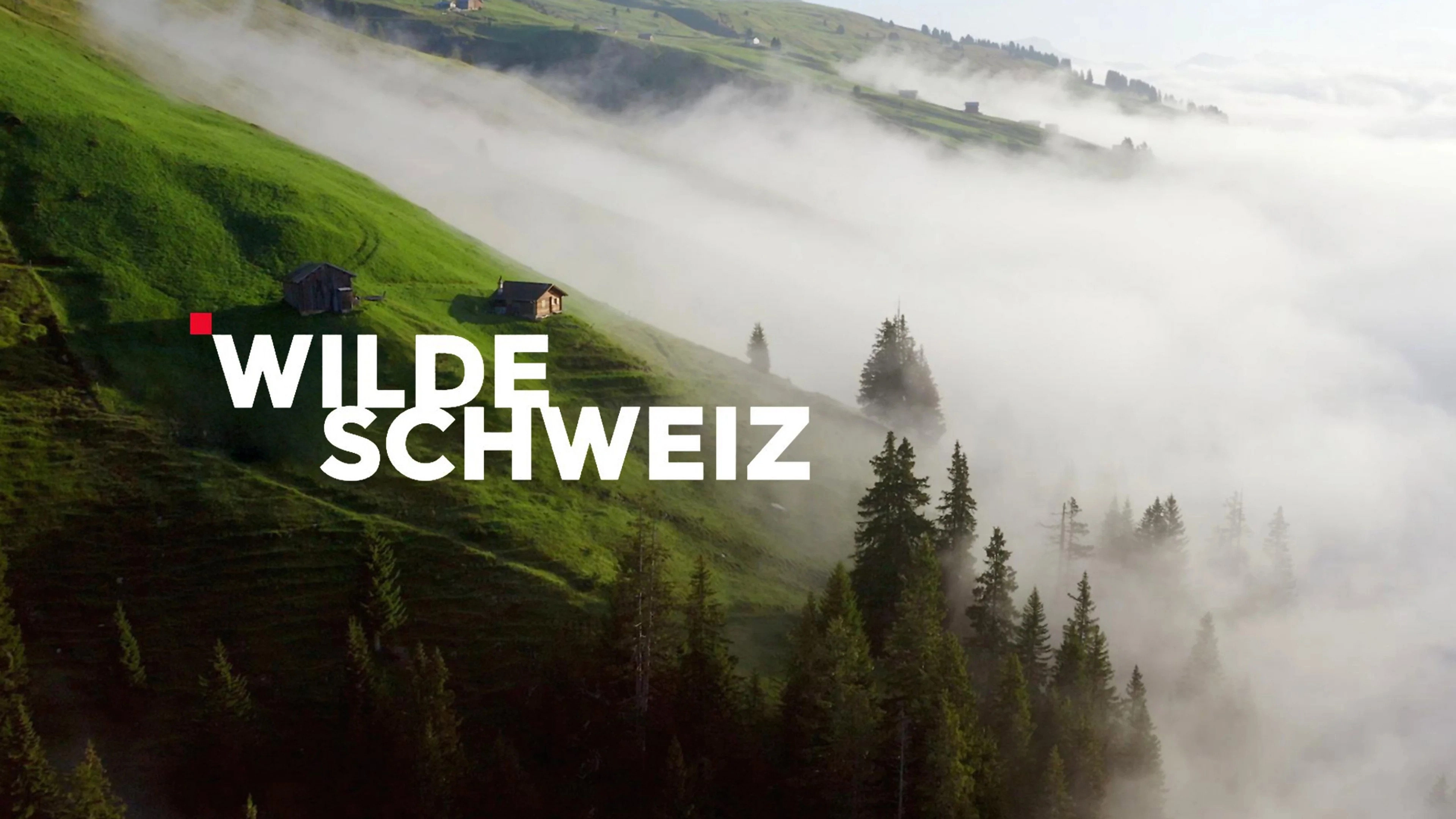 Wilde Schweiz