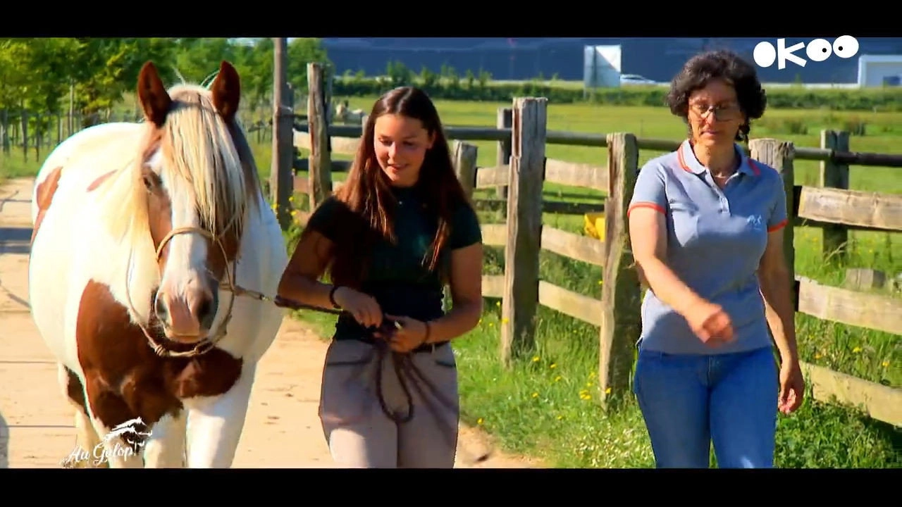 Au galop ! une saison à cheval