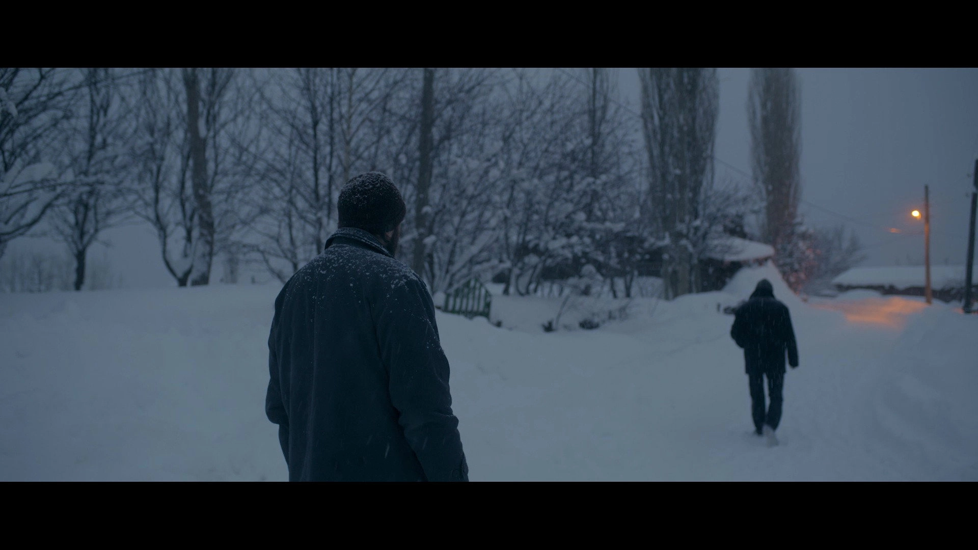 Snow and the Bear