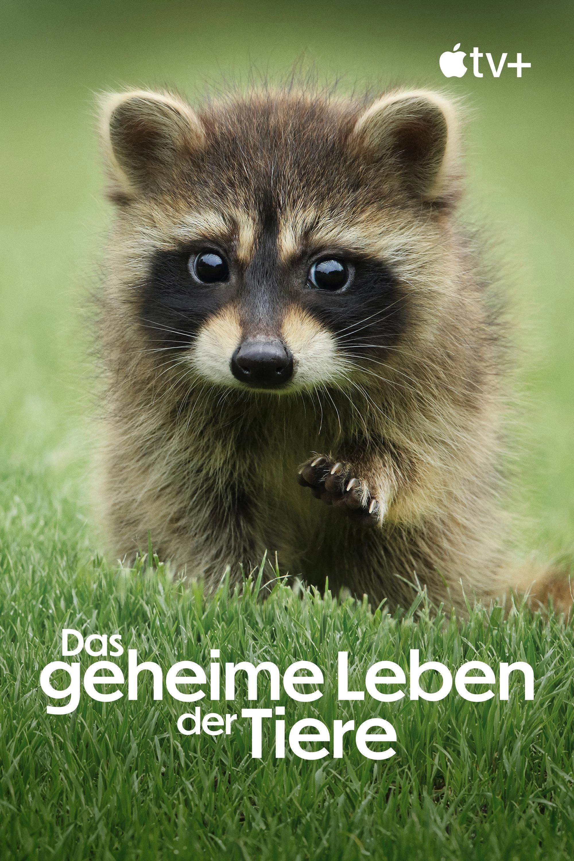 The Secret Lives of Animals