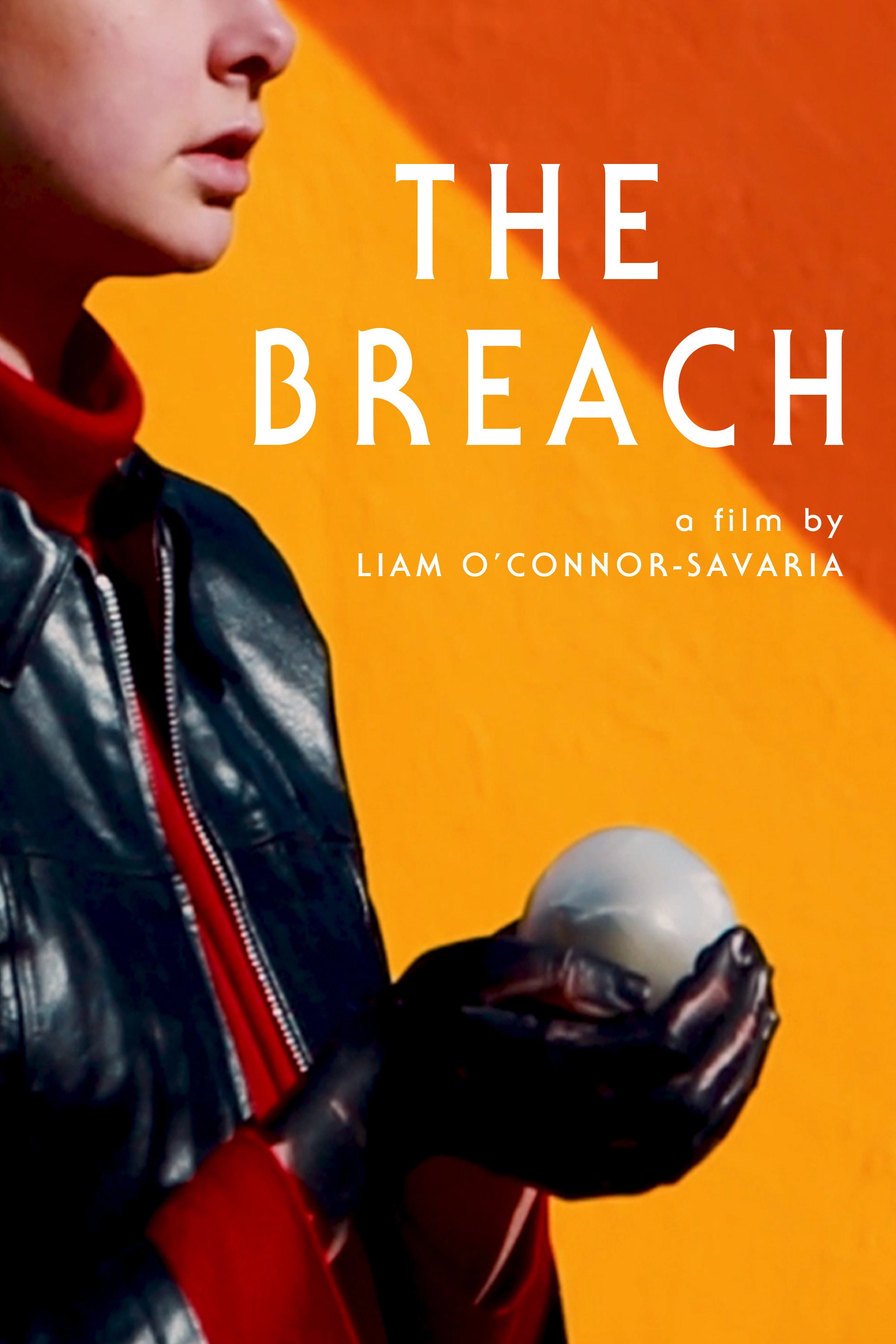 The Breach