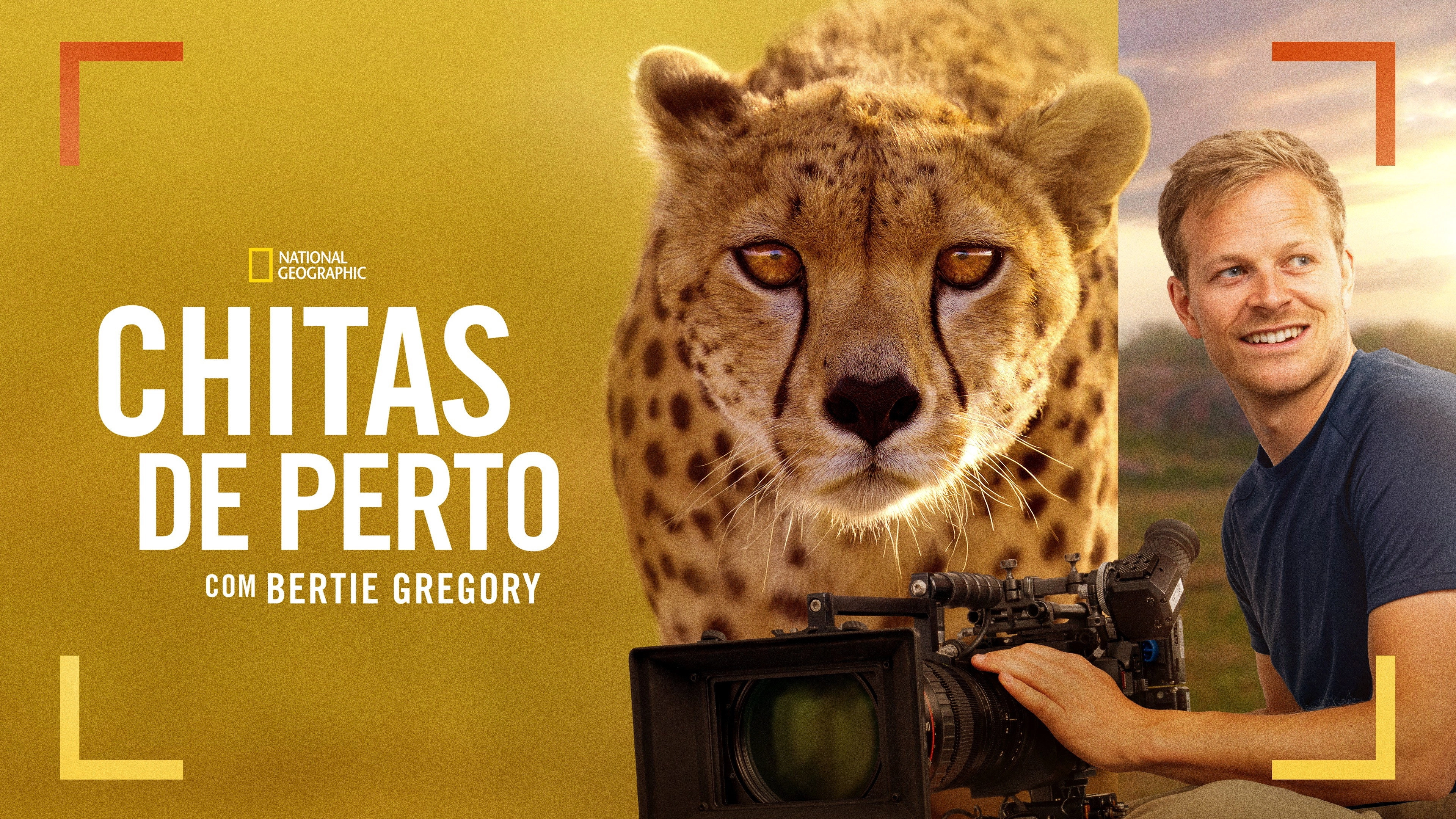 Cheetahs Up Close with Bertie Gregory