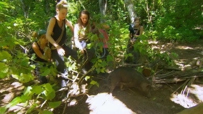 The Island with Bear Grylls