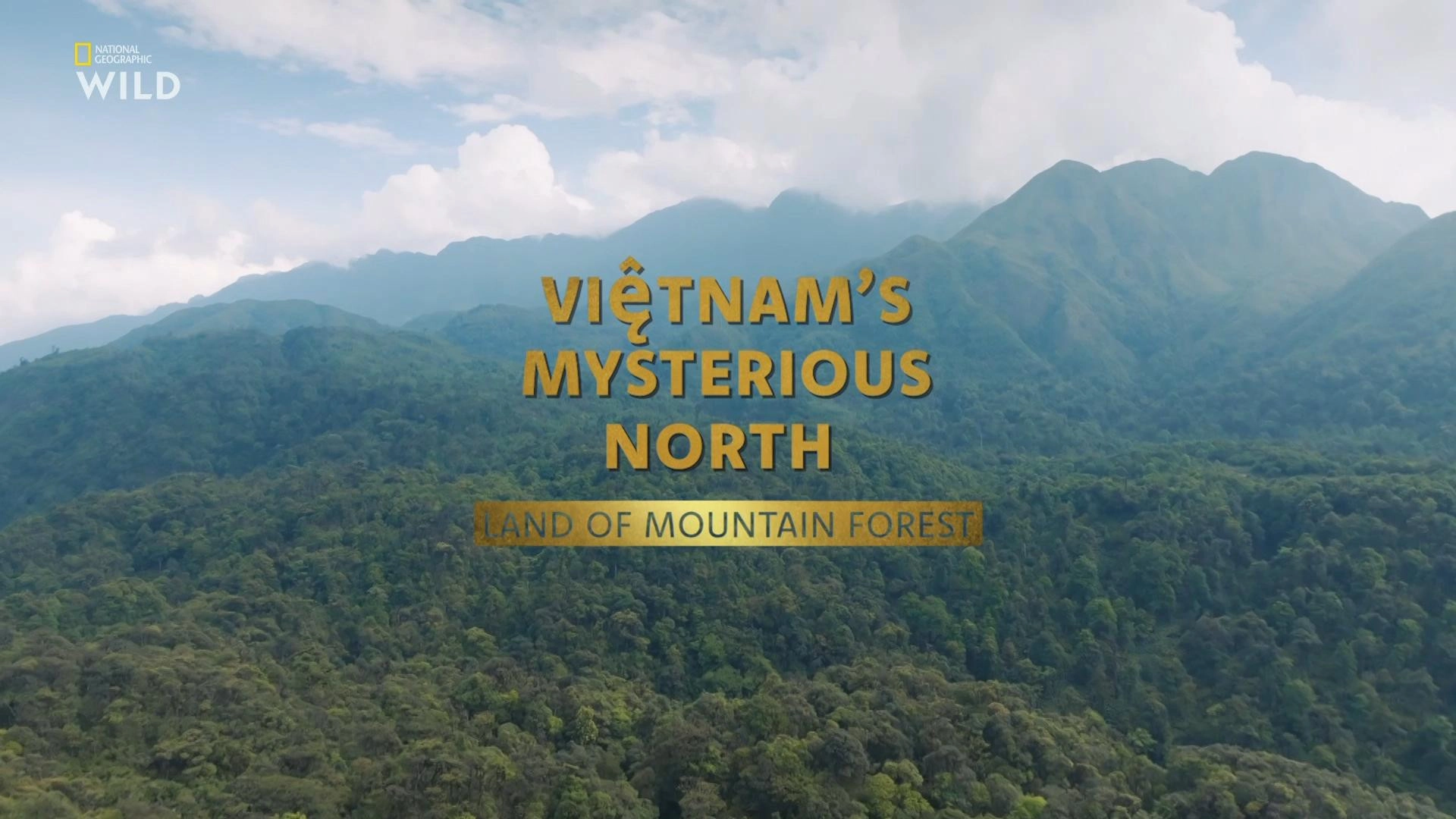 Wild Vietnam