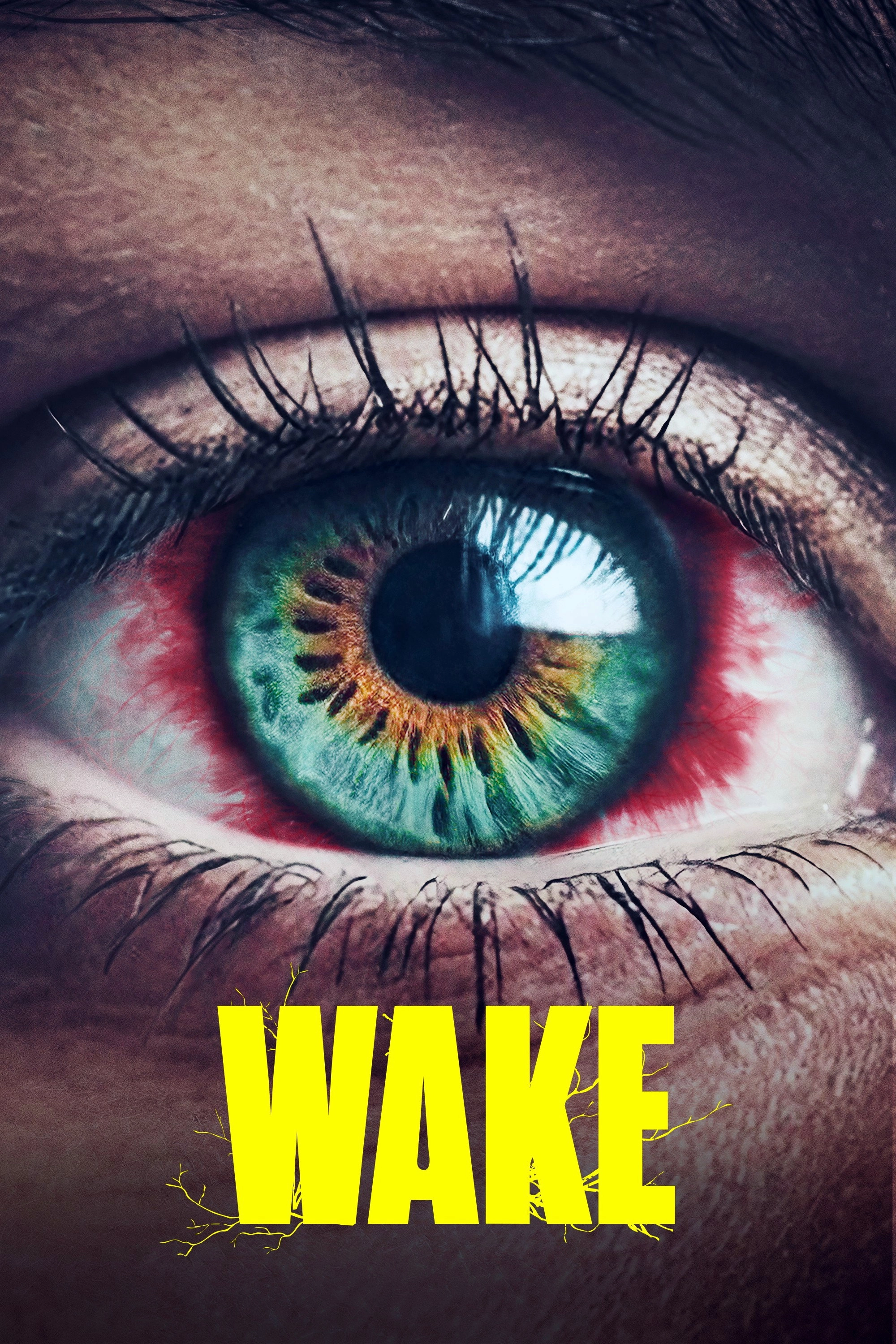 Vaka