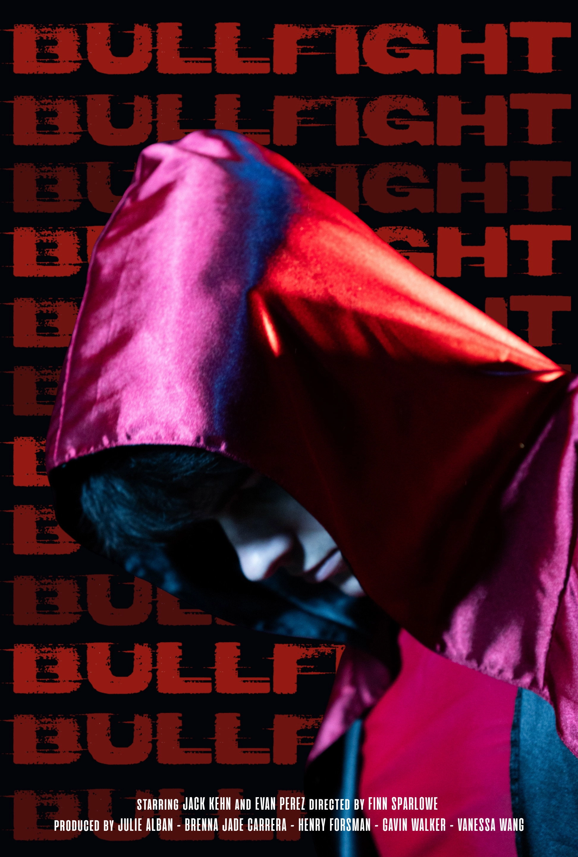 Untitled Wrestling Movie