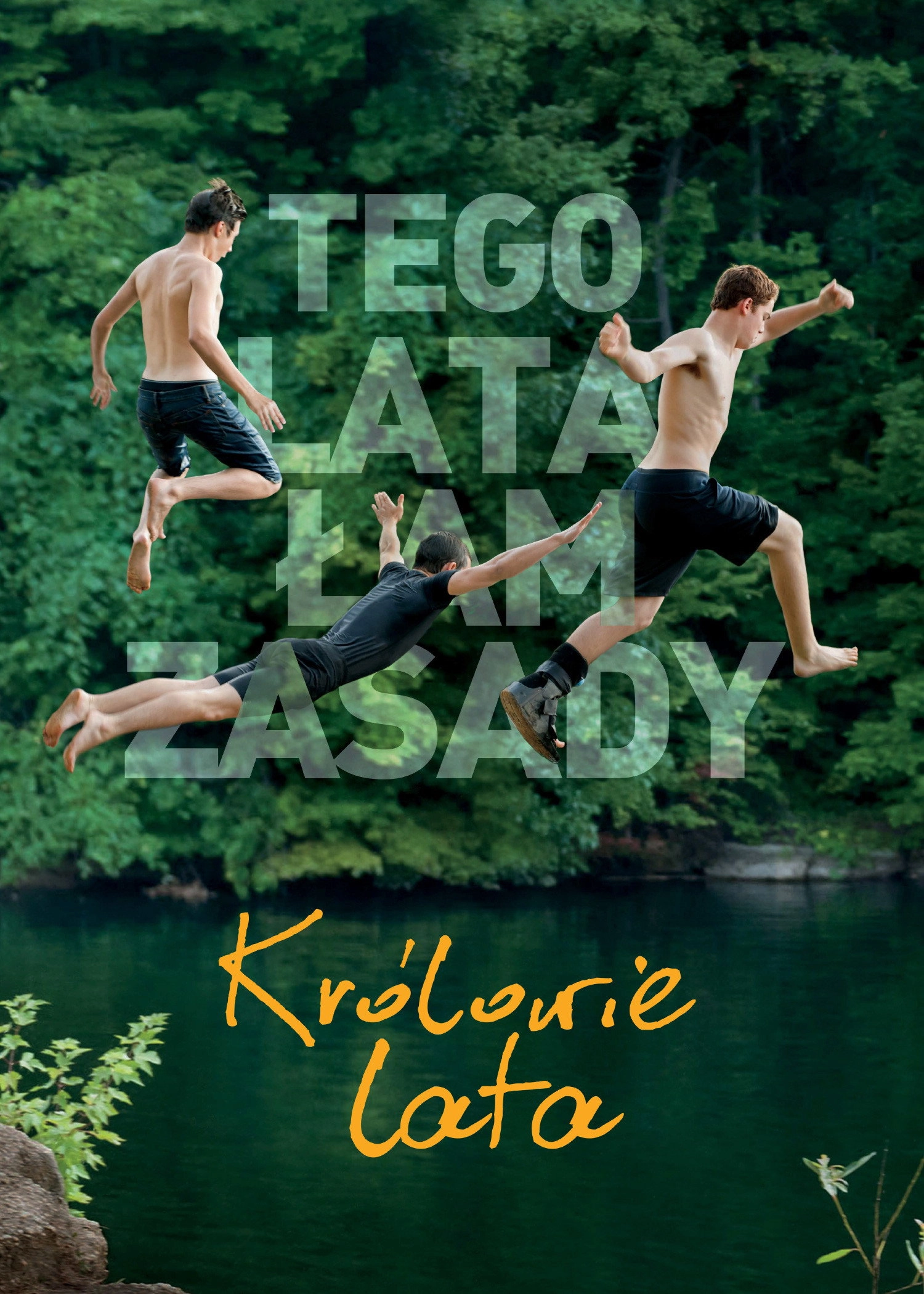 The Kings of Summer