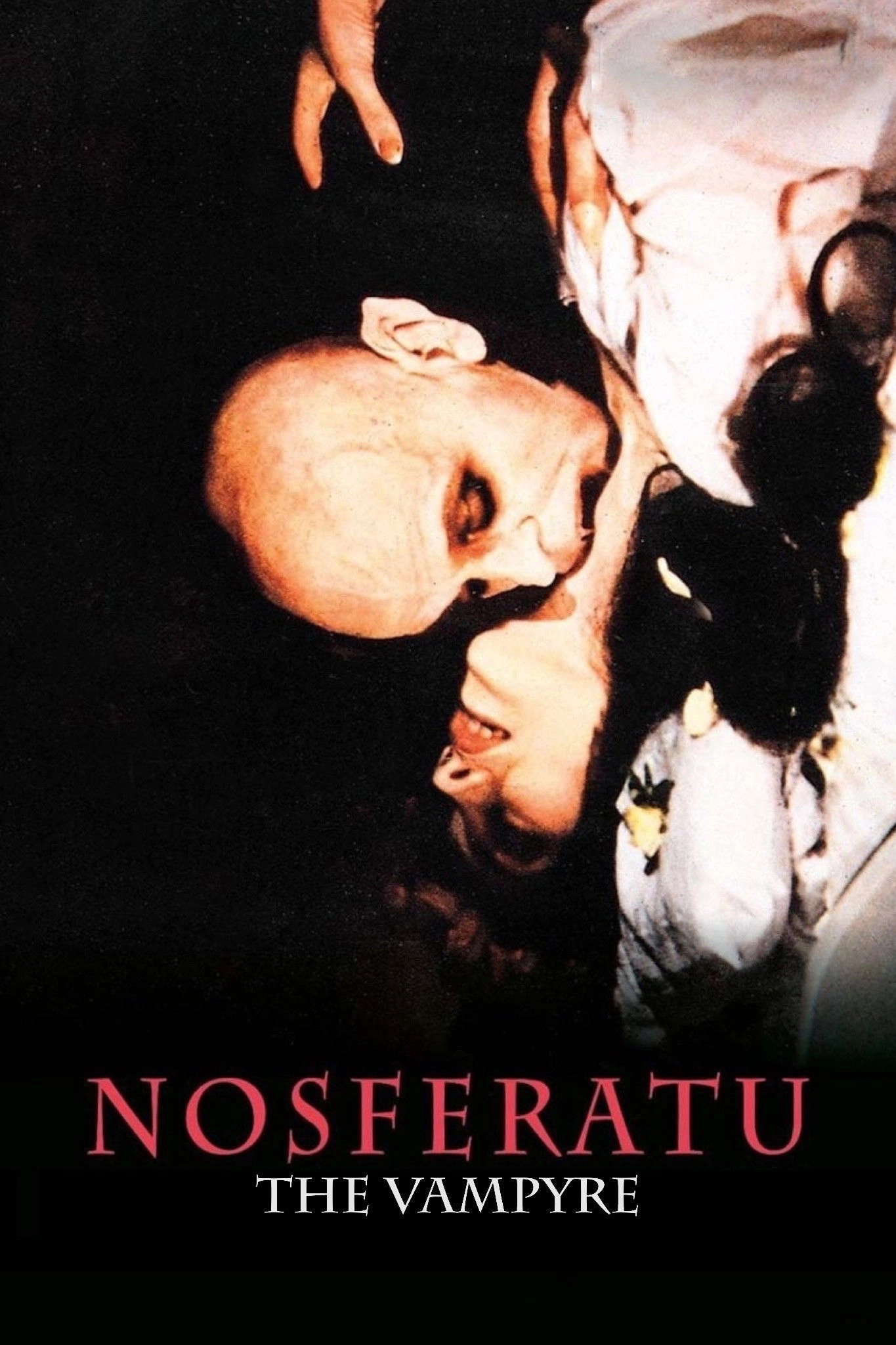 Nosferatu the Vampyre