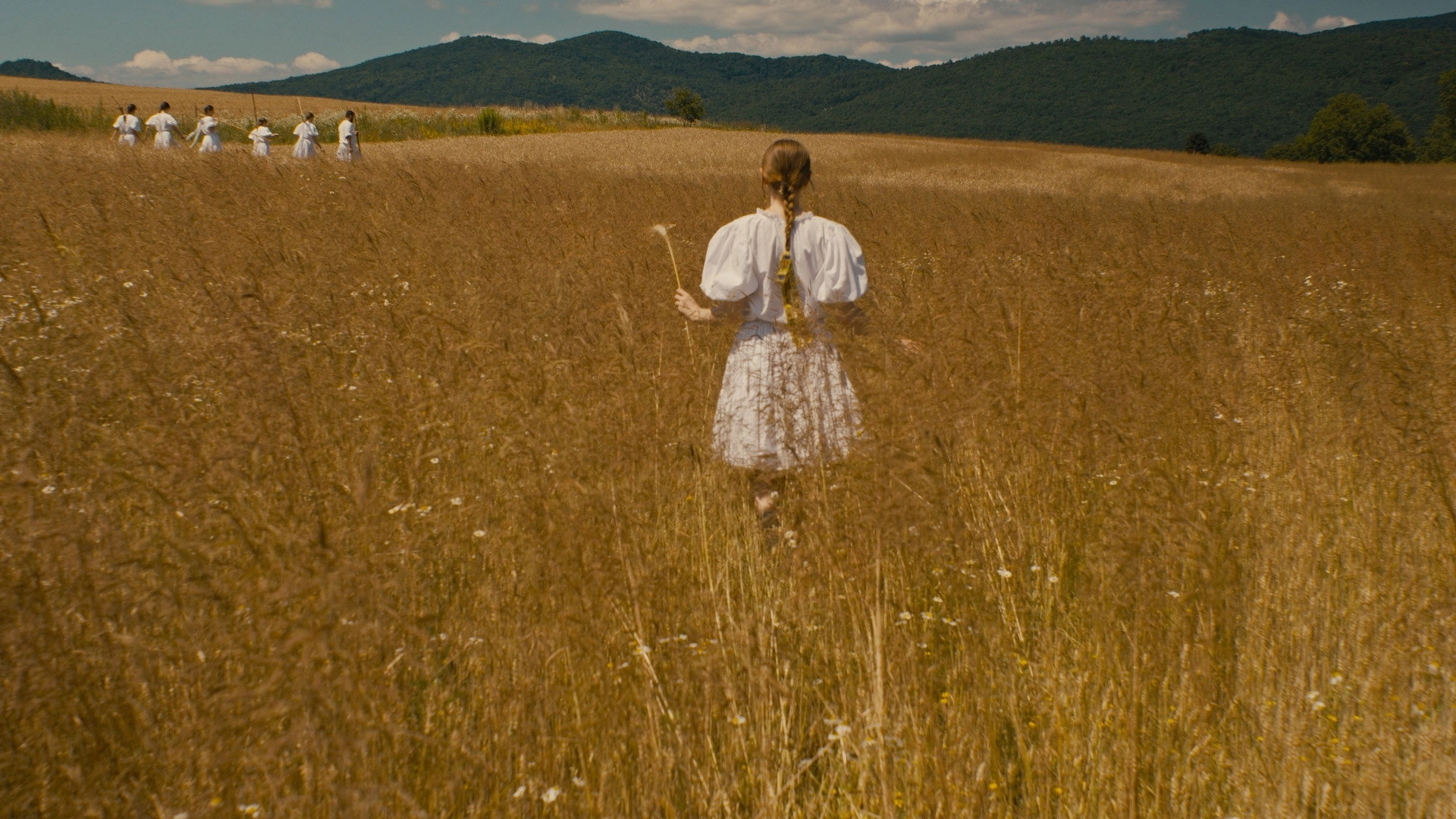 The Harvest