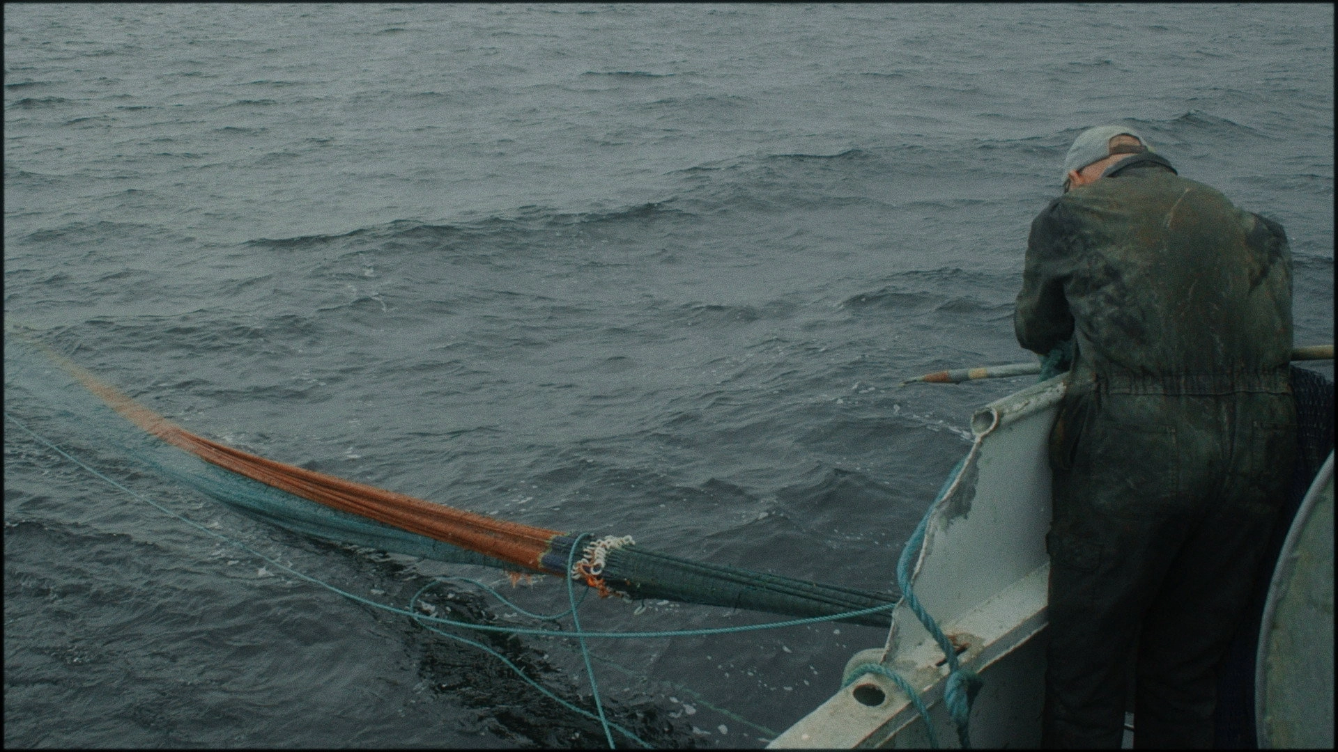 Caught in the net