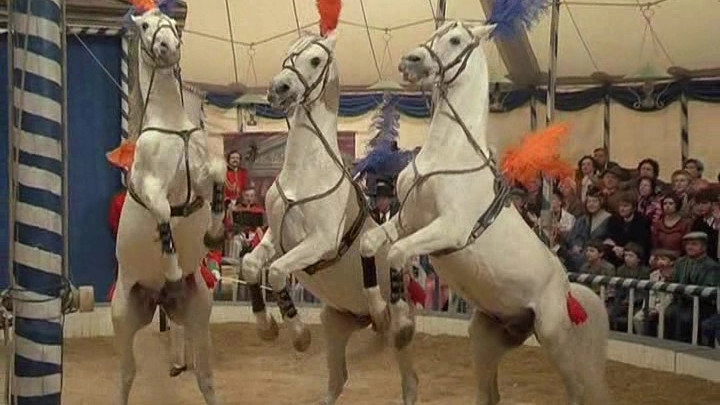 Zirkus Humberto