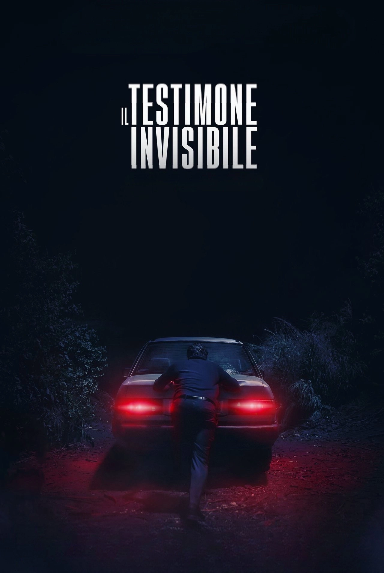 The Invisible Witness