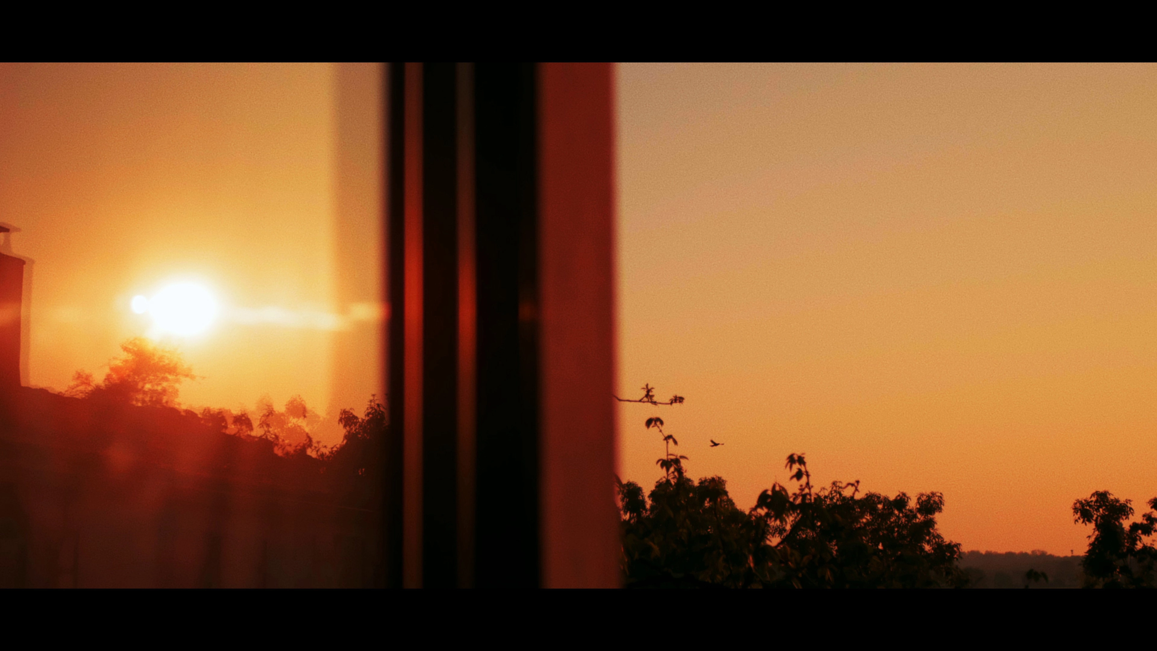 Dawn's Sunset