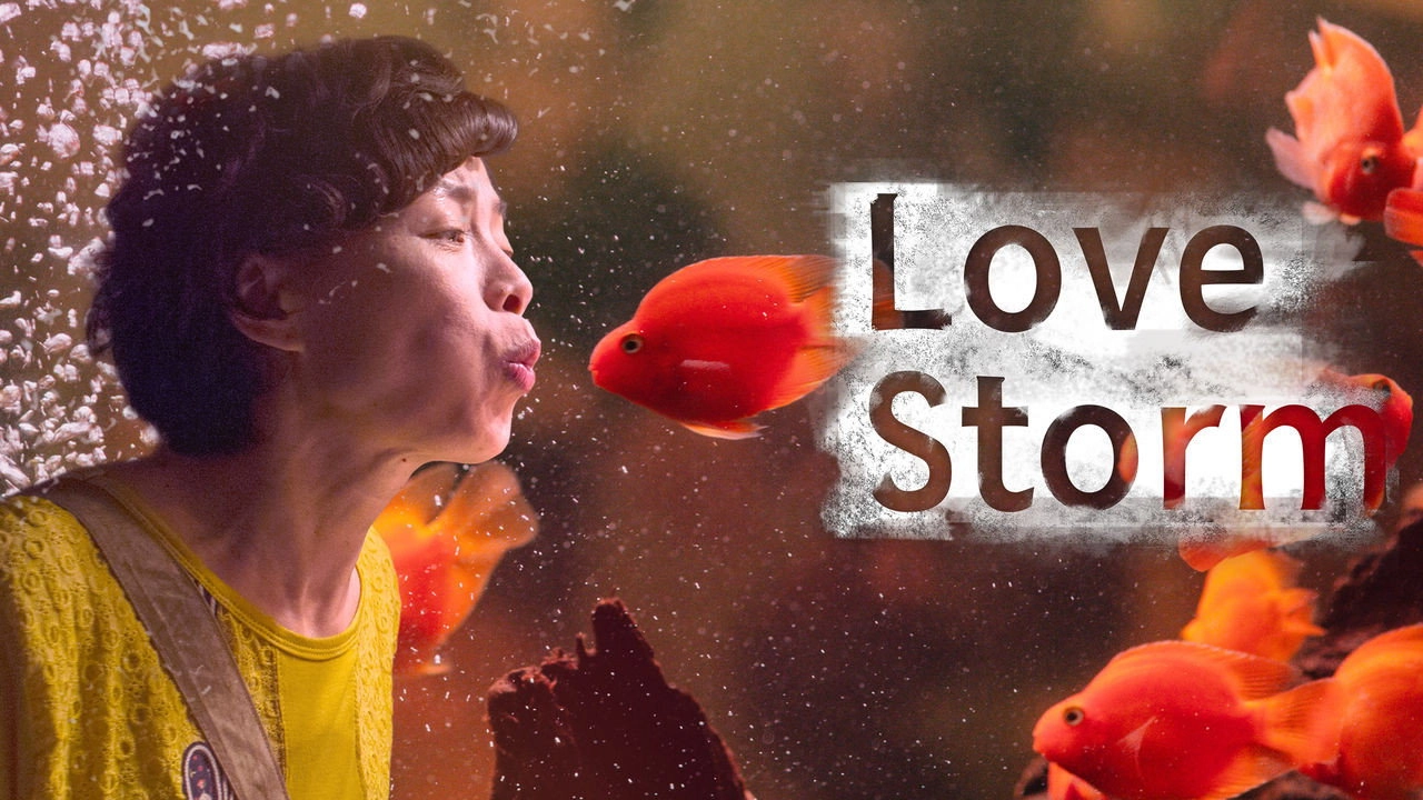 Love Storm