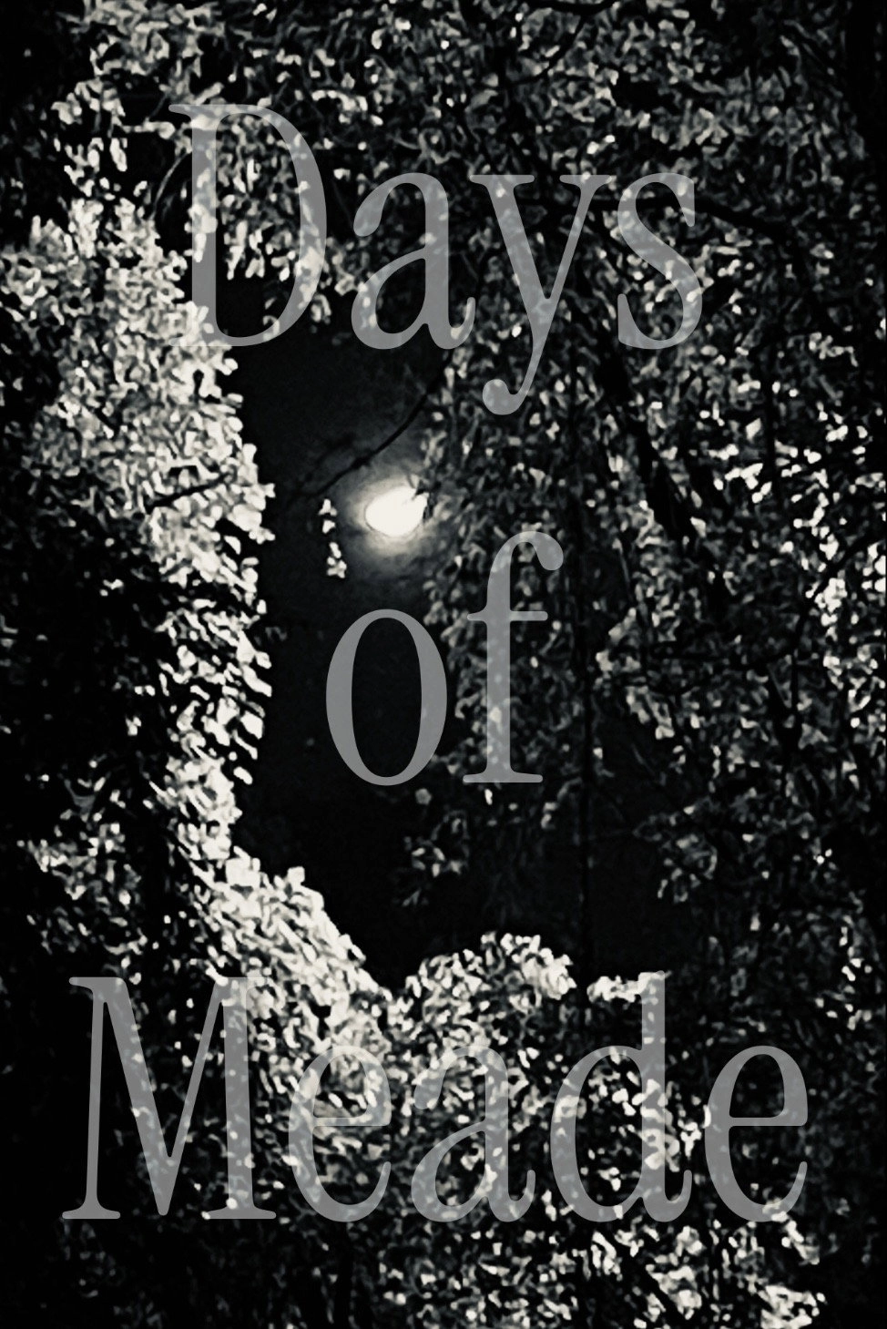 Days of Meade