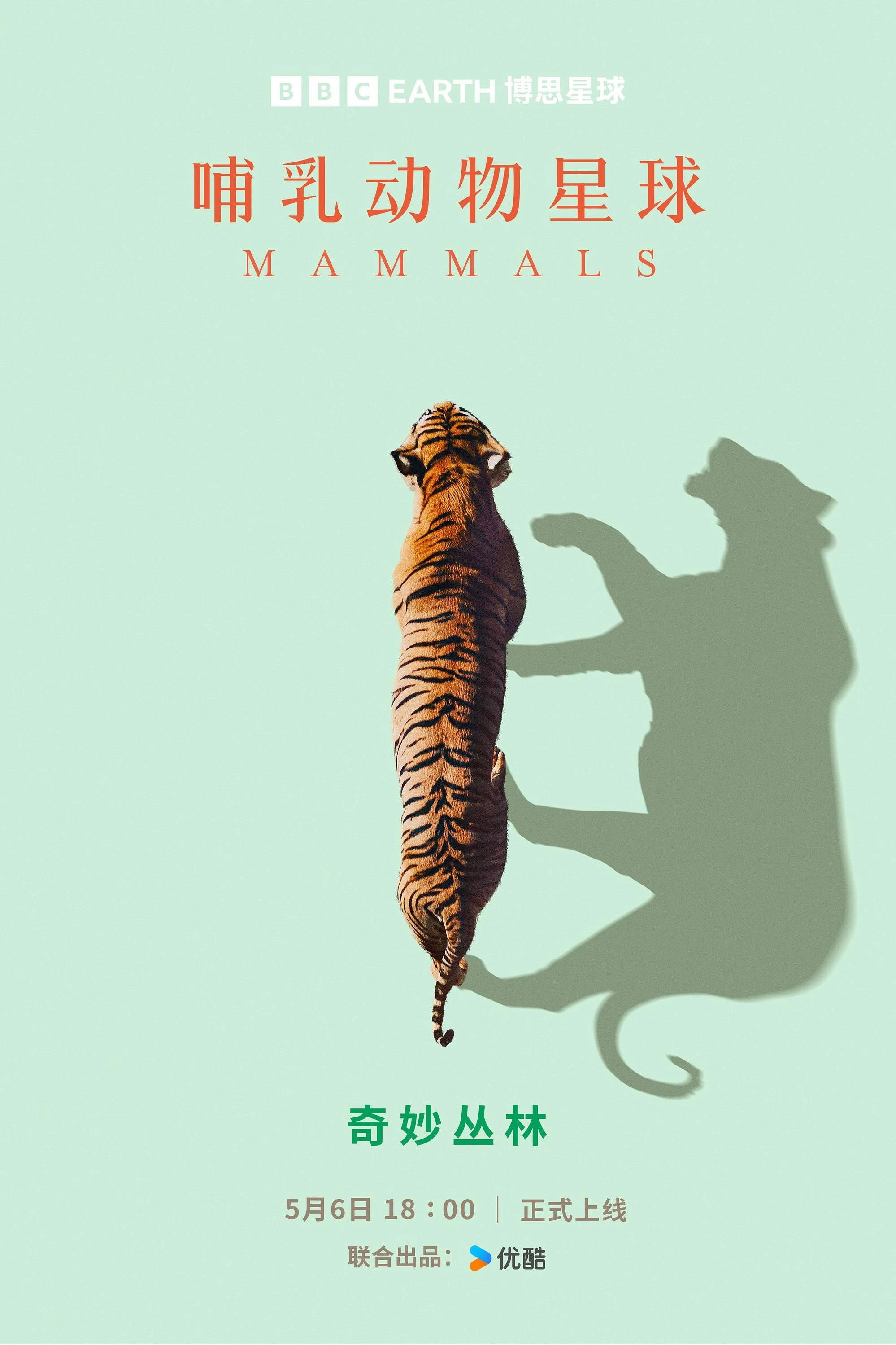 Mammals