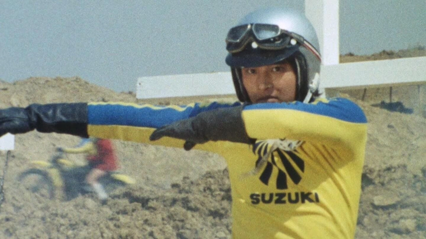 Kamen Rider V3