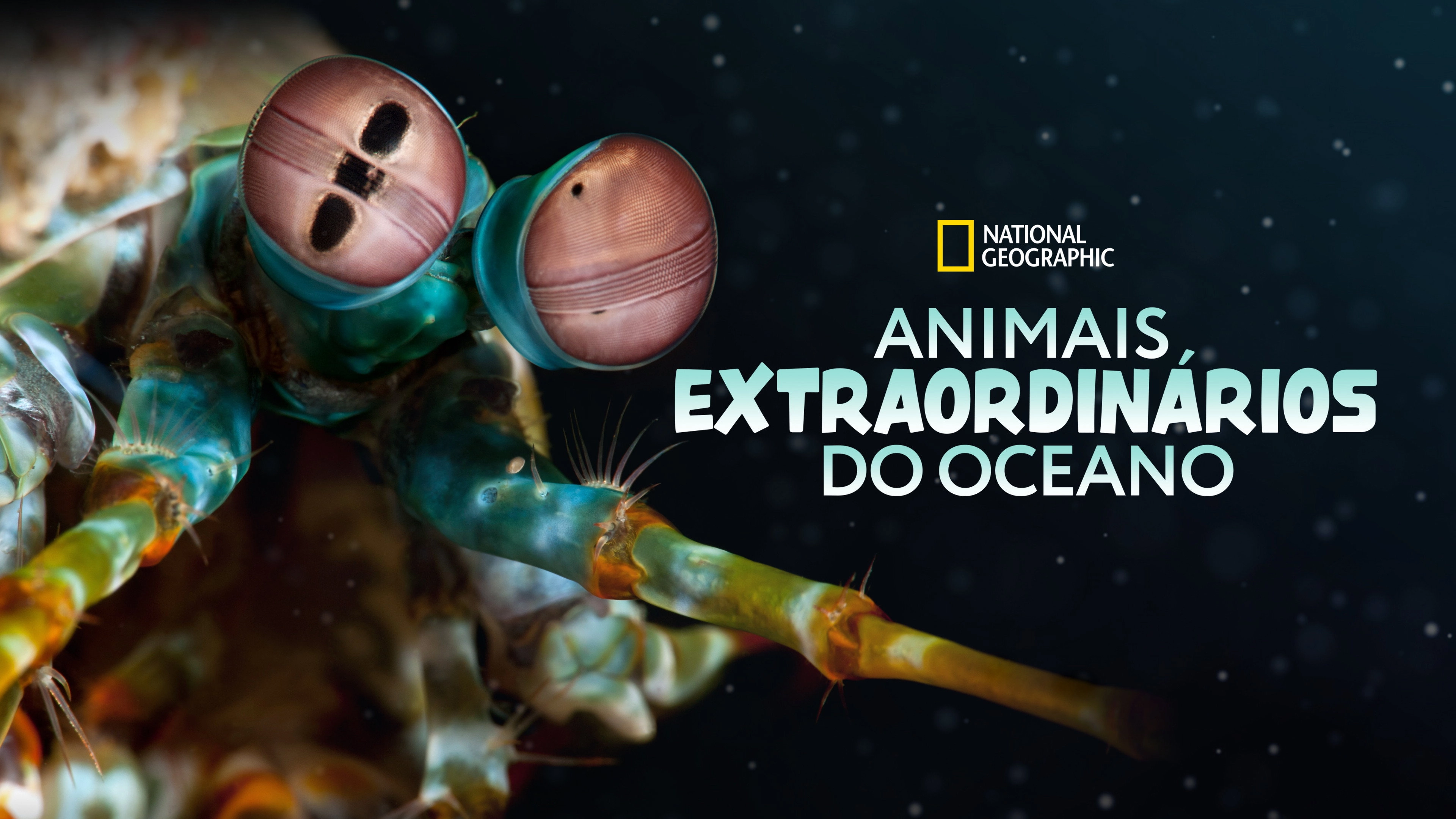 Ocean's Weirdest