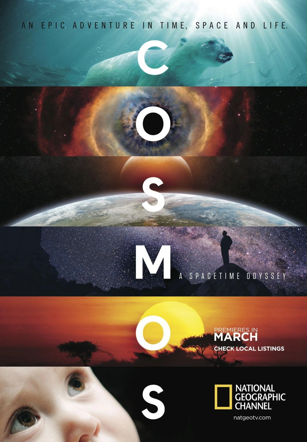 Cosmos