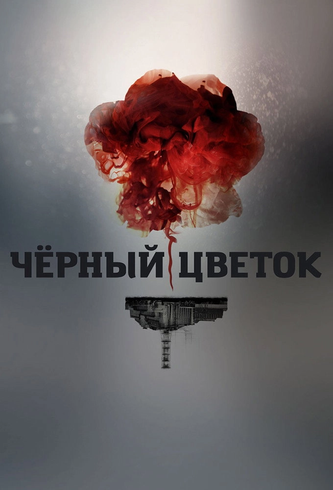 Chornobyl: Aftermath